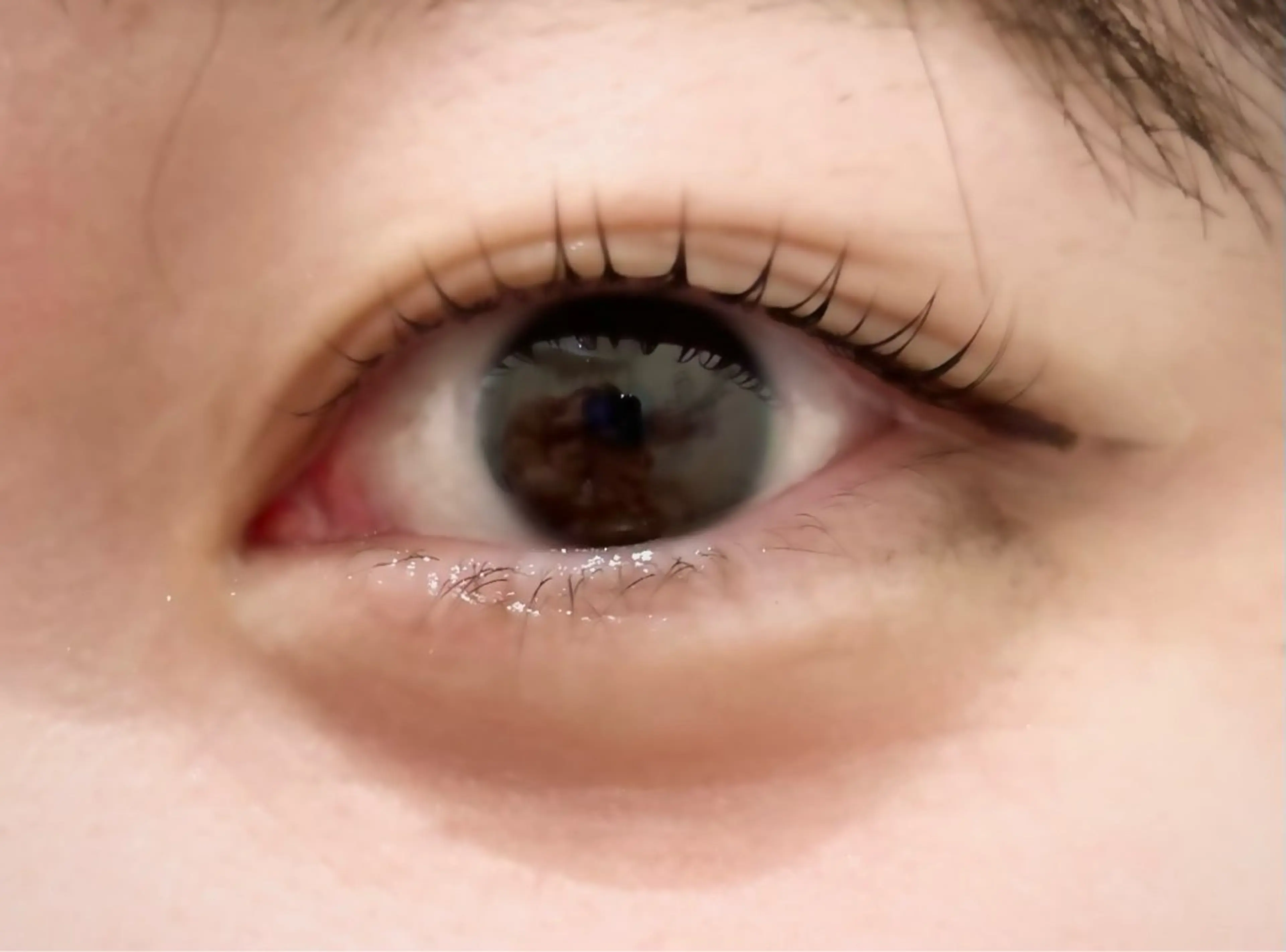 マツエク・マツパ エクラドゥボヌール所属・エクラドゥボヌール sakuraiのマツエク・マツパデザイン