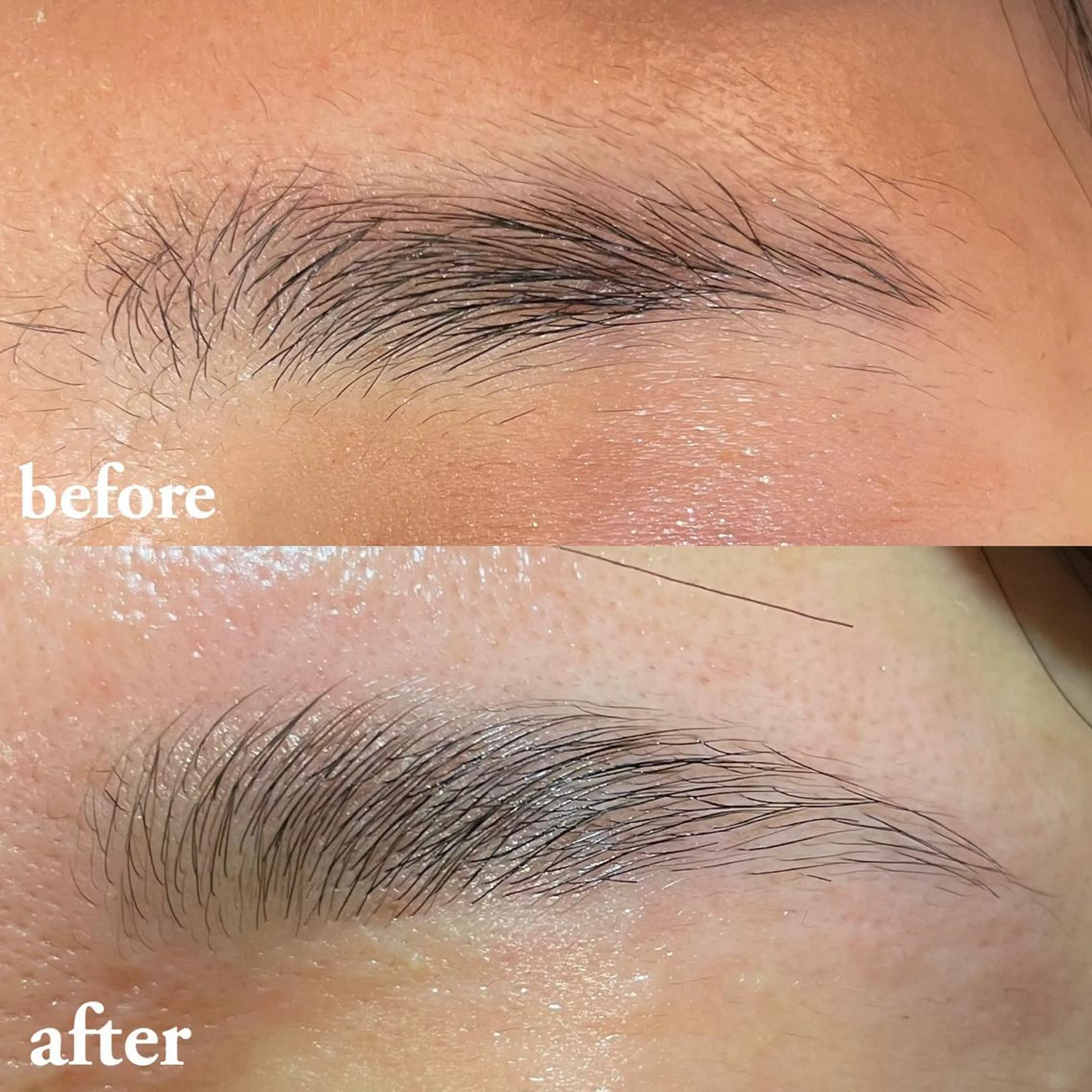 アイブロウ ワックス脱毛 眉カット その他(アイブロウ) 向井 萌華の眉毛・アイブロウイメージ