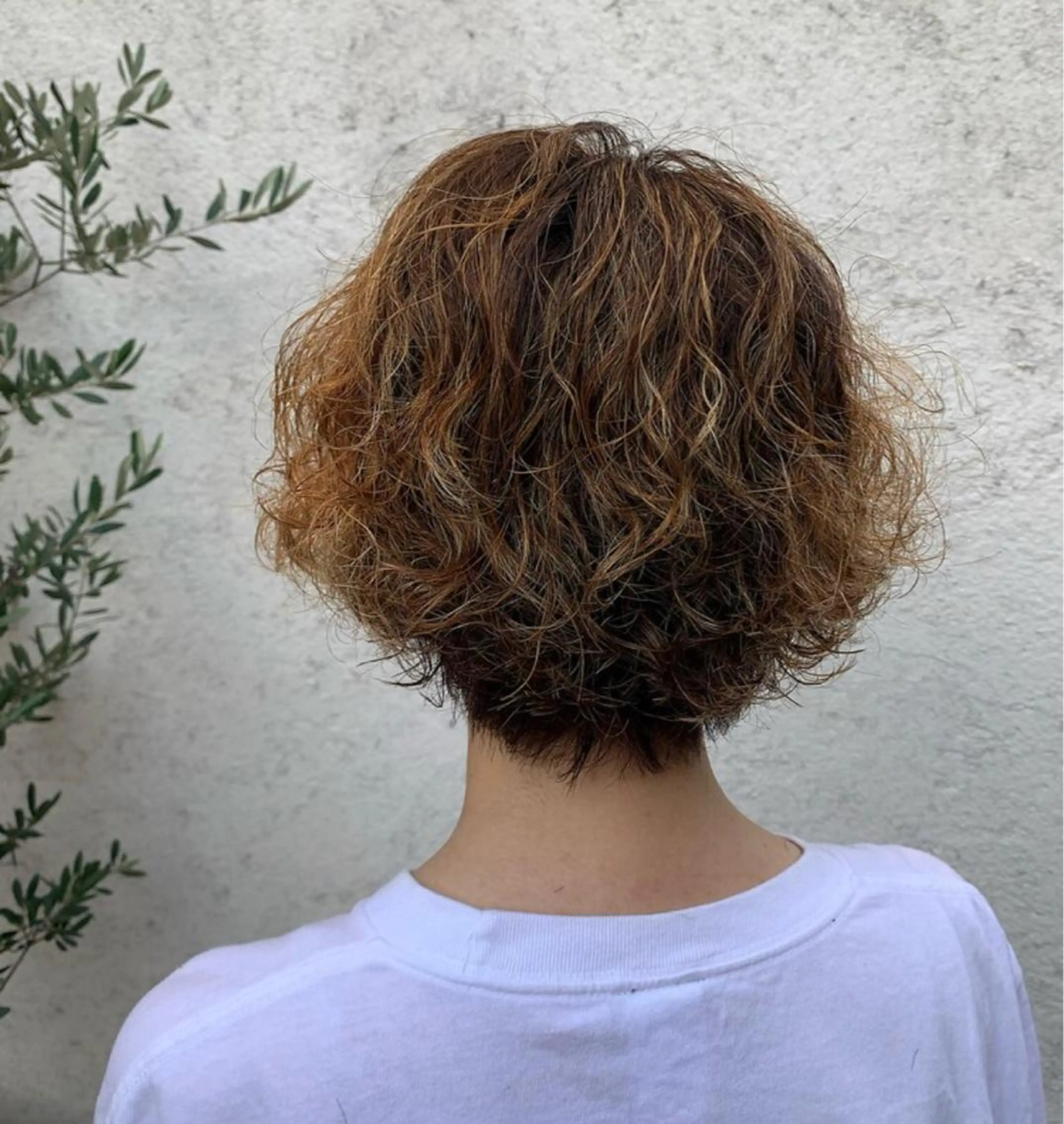 ショート パーマ スパイラルパーマ N'SOL戸田店 加藤颯馬のヘアスタイル