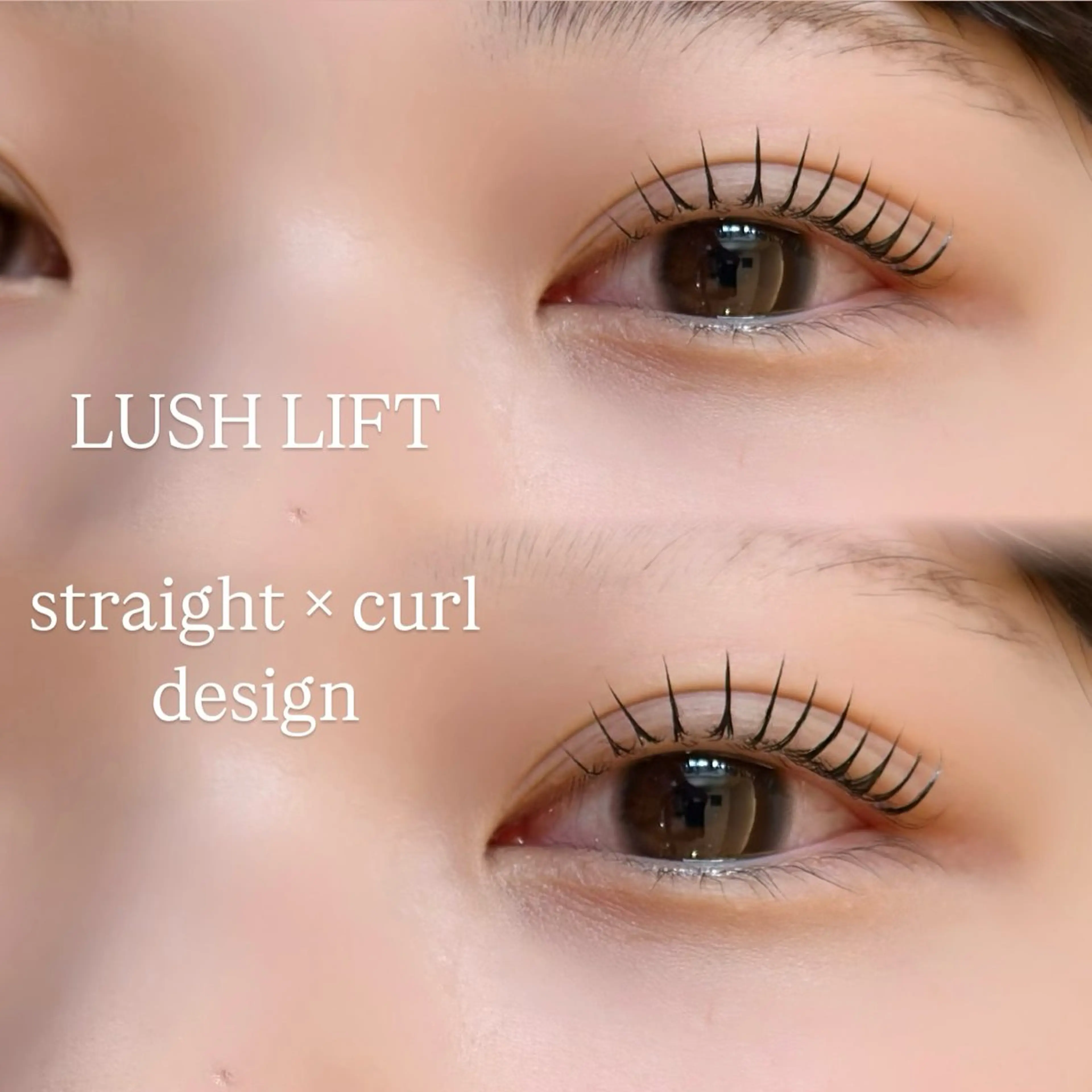 韓国で大人気🇰🇷 ブラックティントの写真