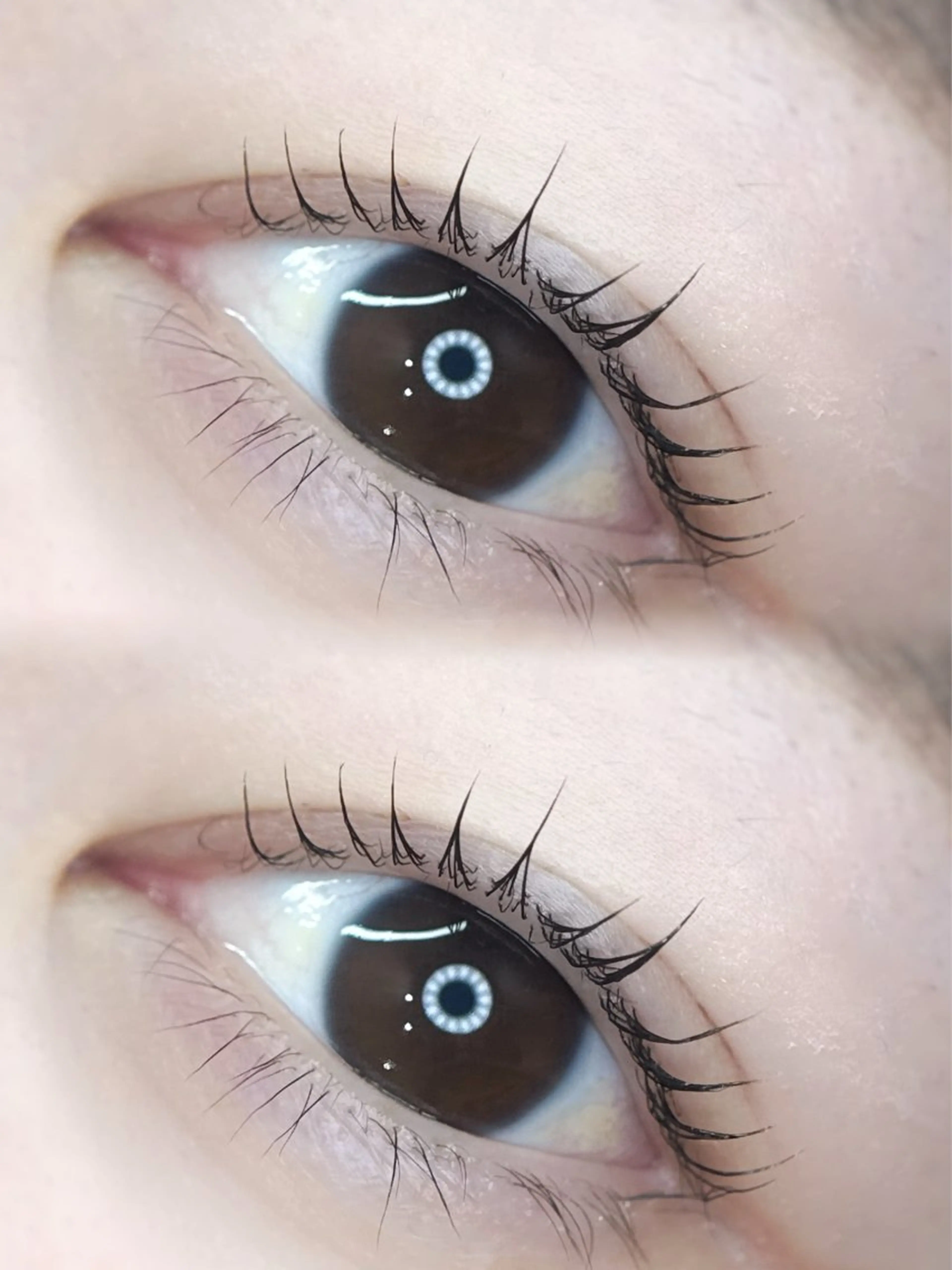 マツエク・マツパ マツパ MEME🐰 上本町/谷九のマツエク・マツパデザイン