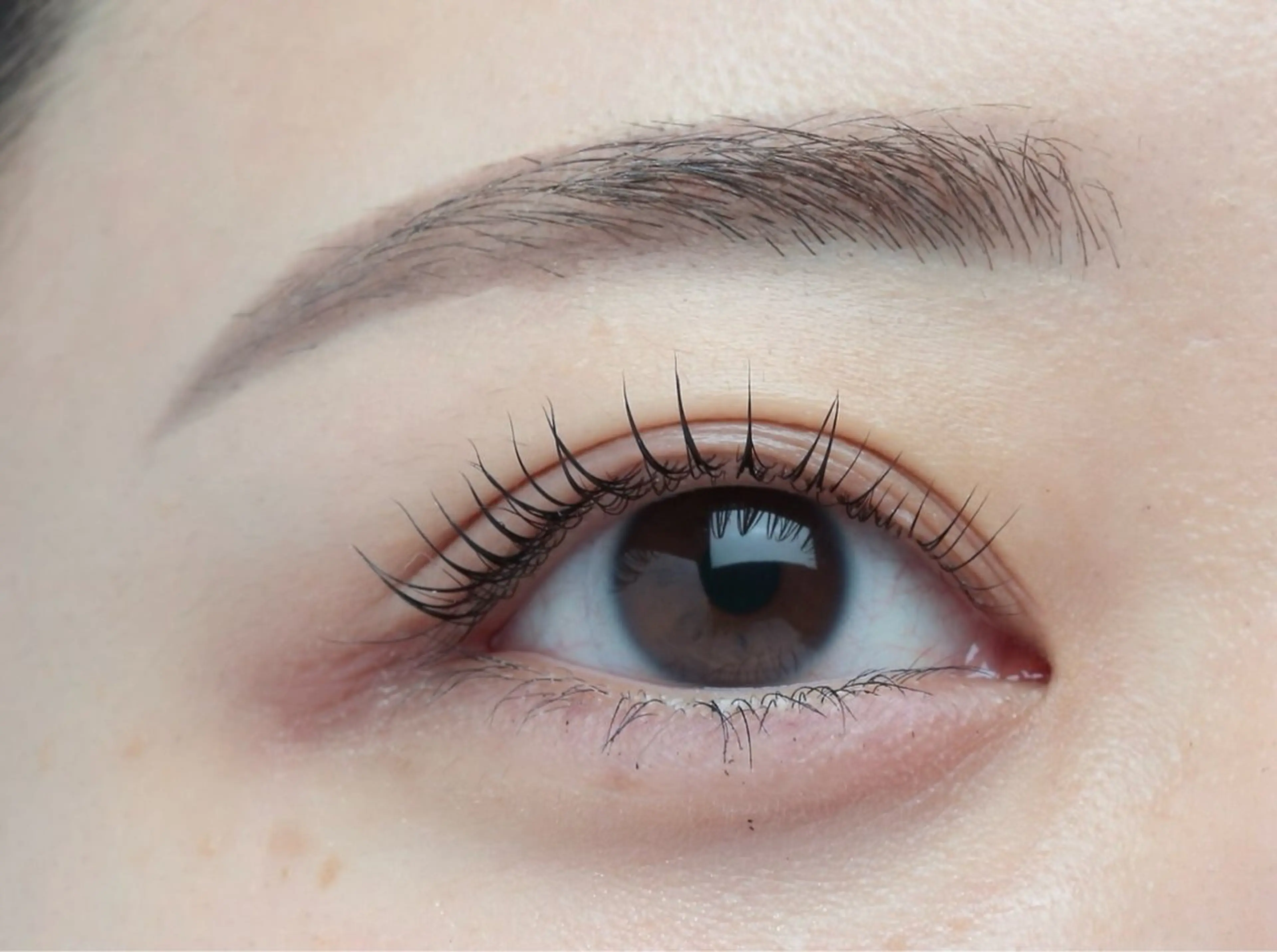 マツエク・マツパ Felim烏丸店 菅原瑞稀のマツエク・マツパデザイン