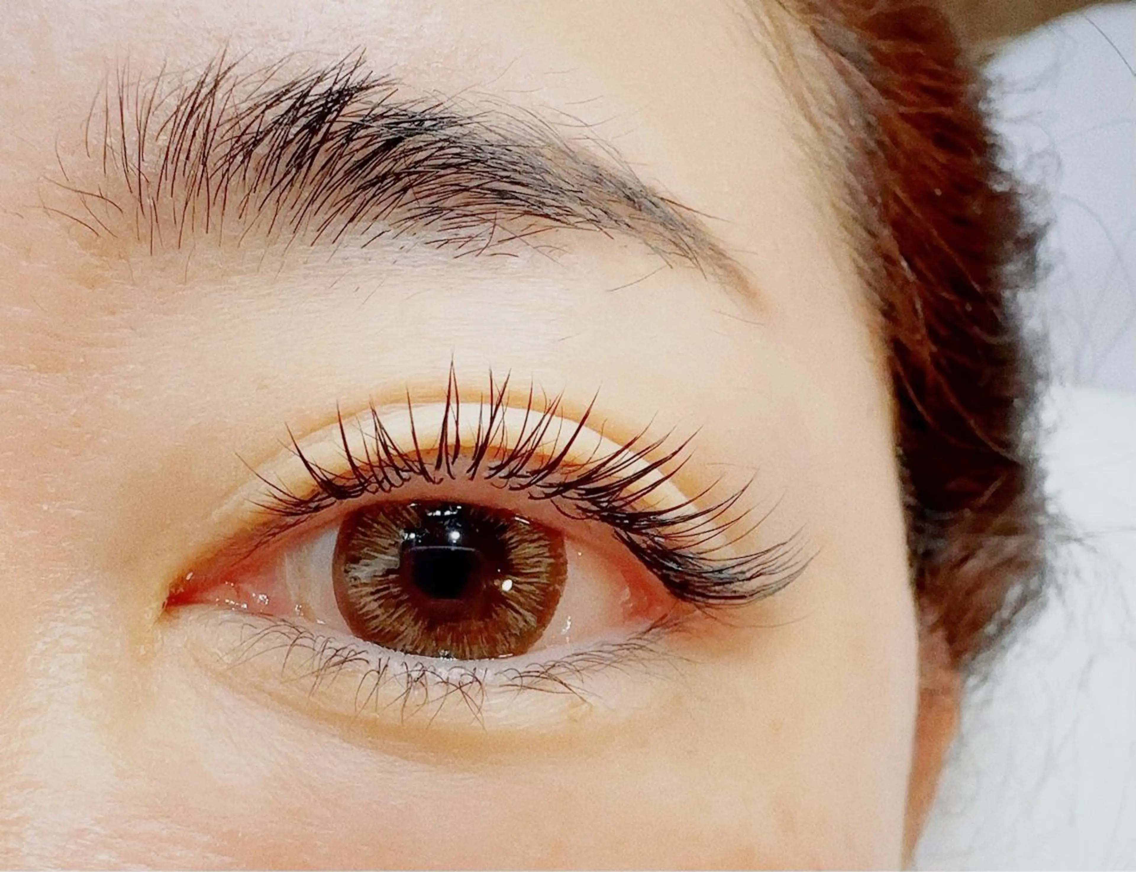 【暦豊富で高持続が可能】フラットラッシュ120本の写真