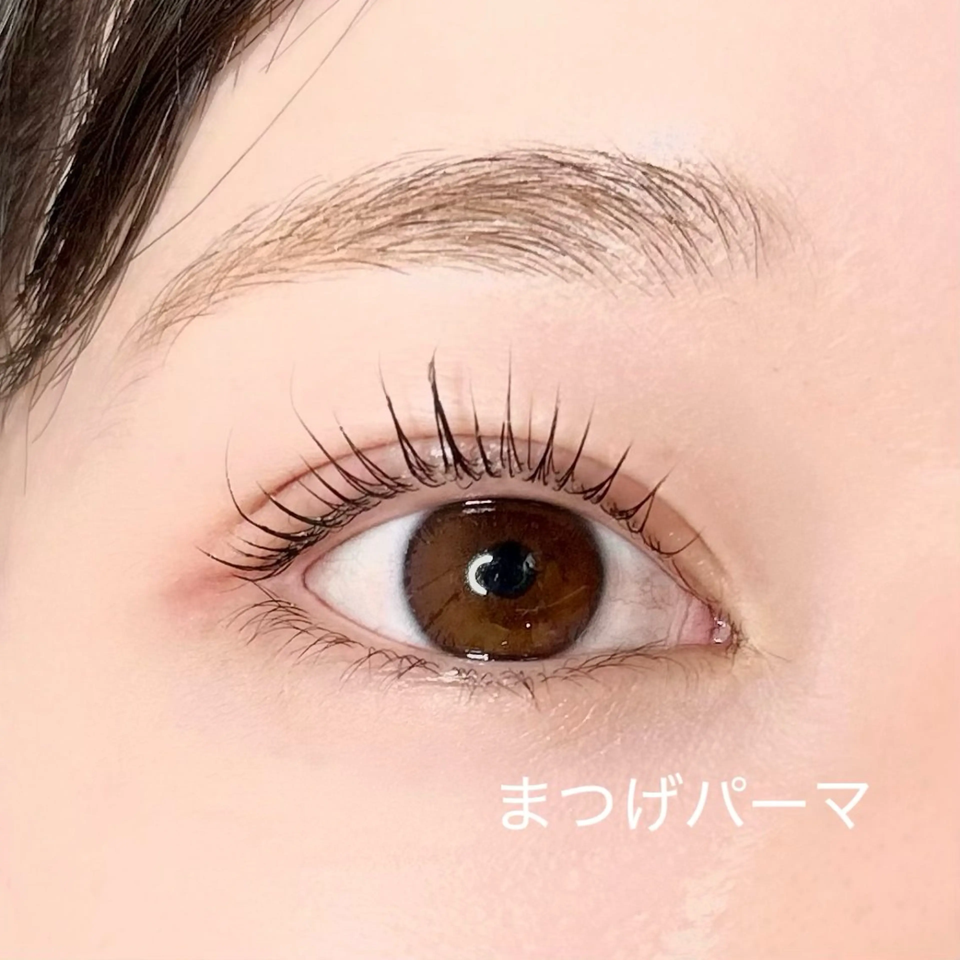 マツエク・マツパ まつげパーマ マツパ elua eyelash所属・elua eyelashの眉毛・アイブロウイメージ