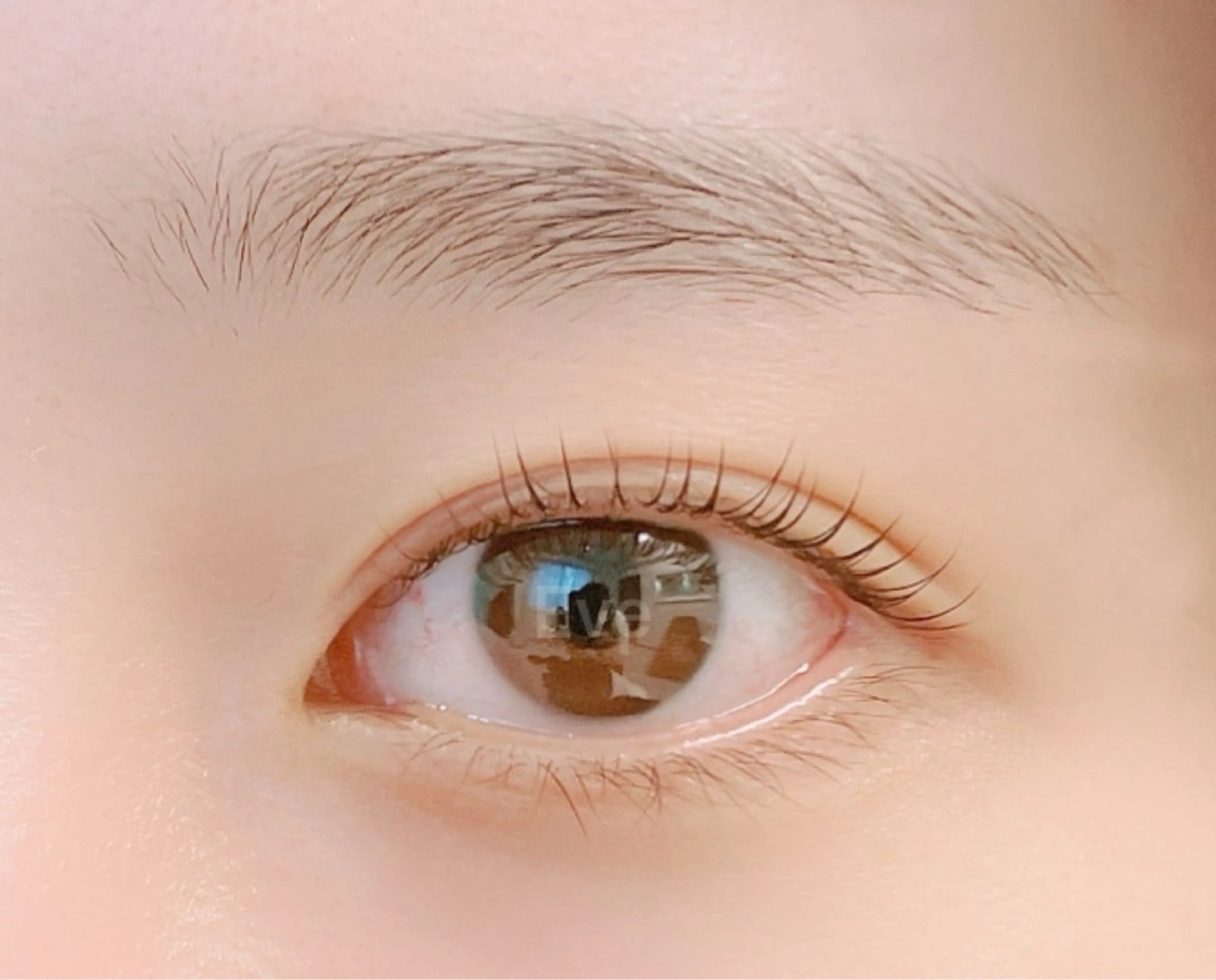 マツエク・マツパ 一重×まつ毛パーマ Eyelash salon Eve所属・Eve マイのマツエク・マツパデザイン