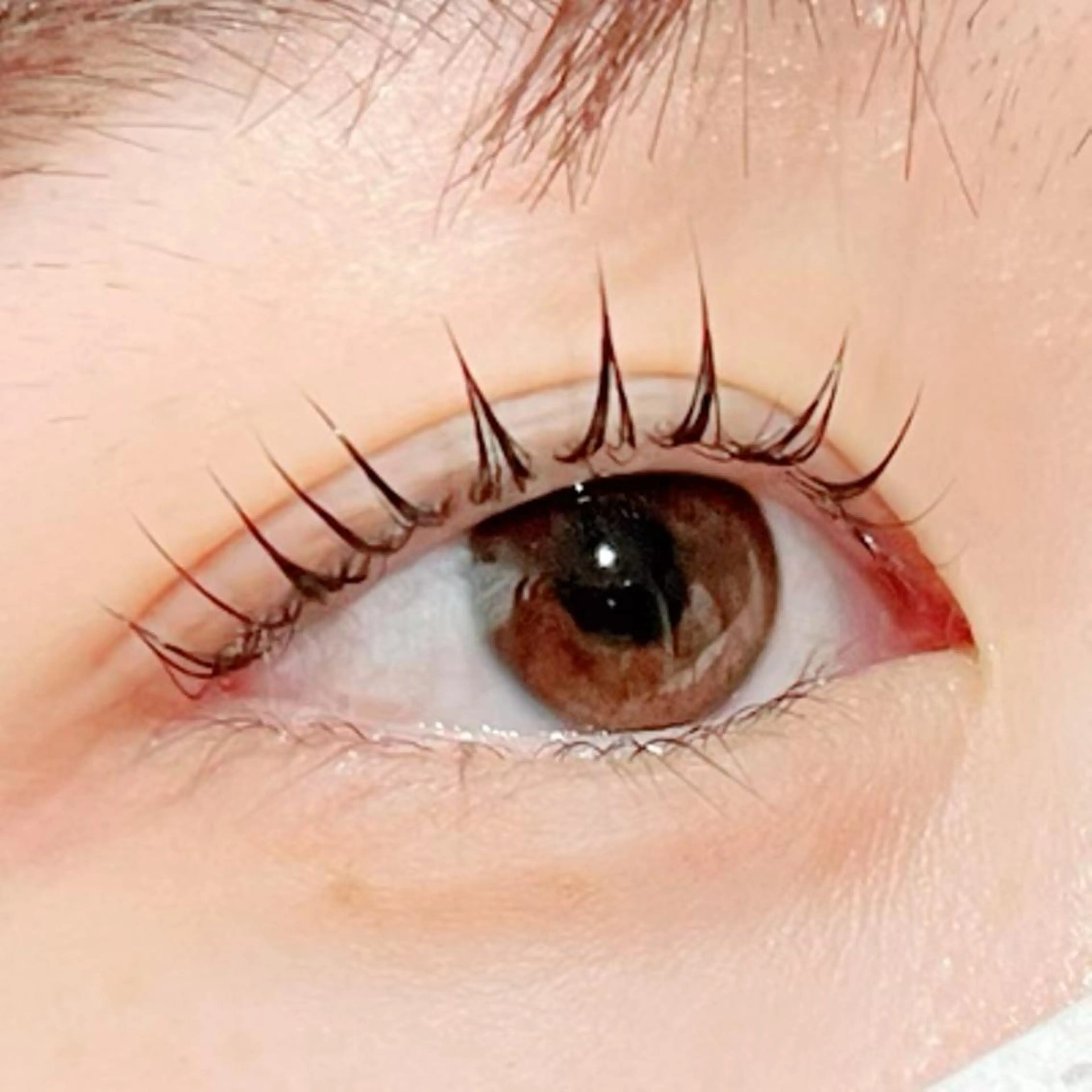 マツエク・マツパ マツパ Shine💫白石 珠紀のマツエク・マツパデザイン