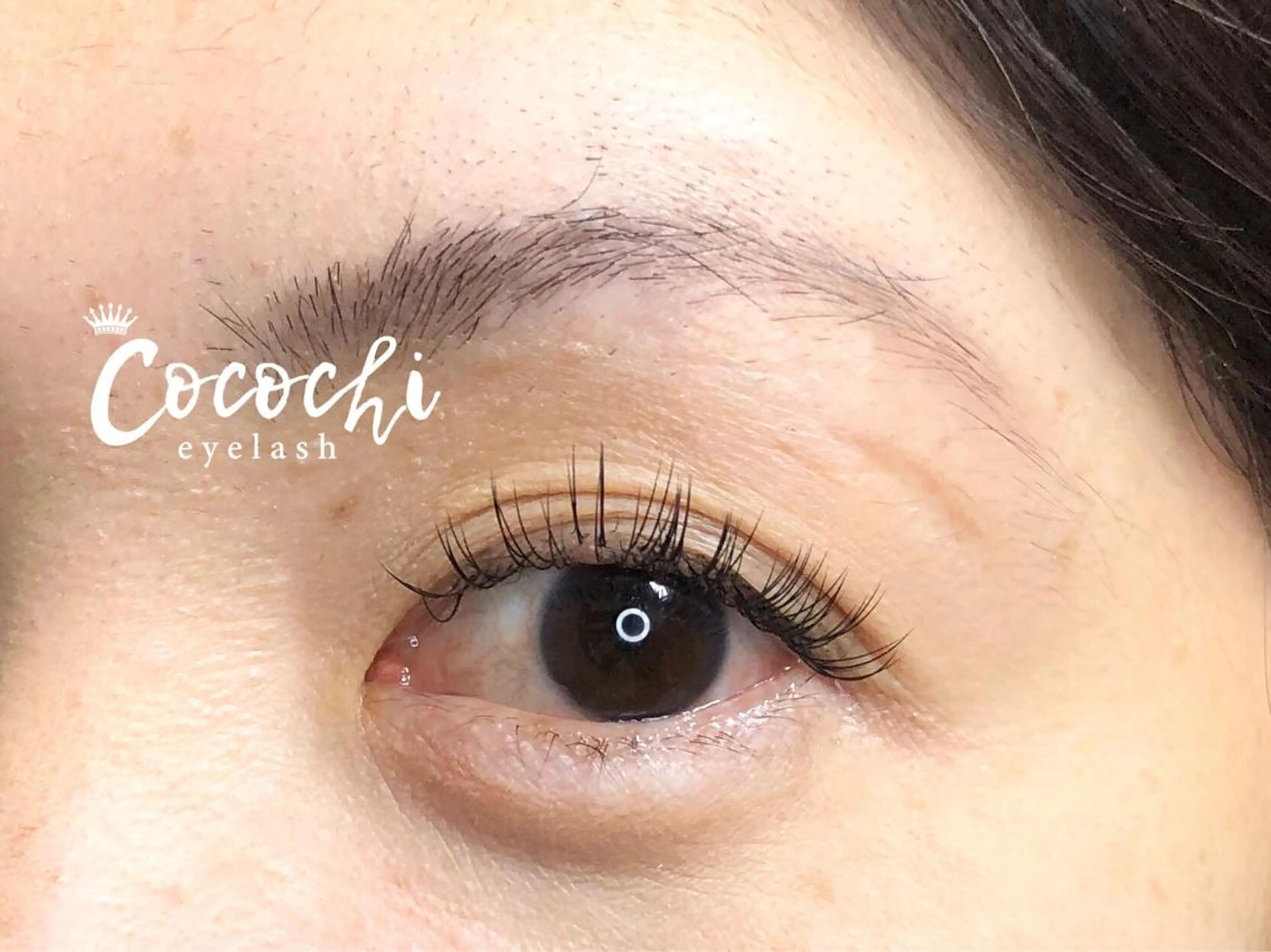 マツエク・マツパ セーブル ran cocochiのマツエク・マツパデザイン