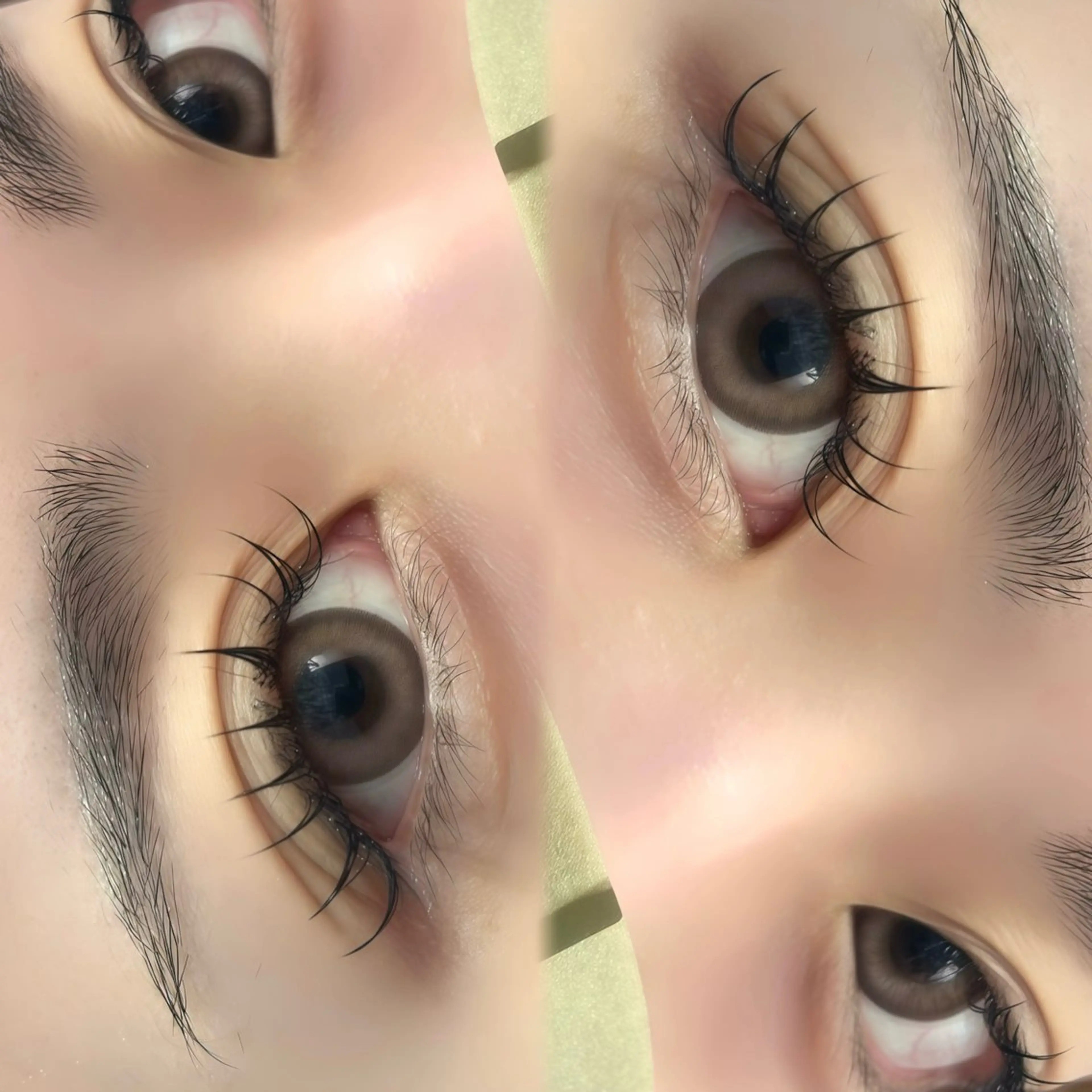 《2/7.8来店限定》LEDフラットラッシュ120本💖の写真