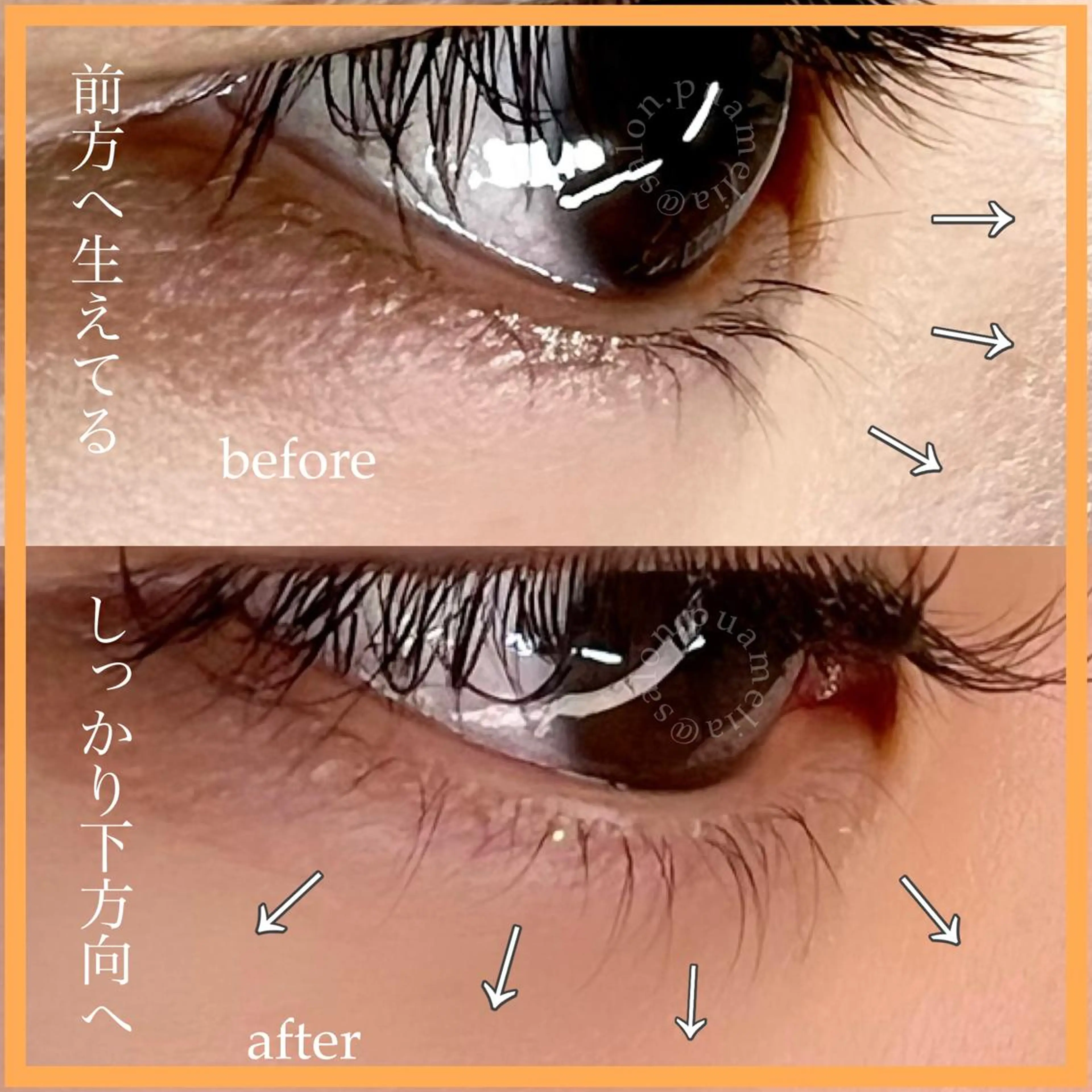 マツエク・マツパ Pua Meliaのマツエク・マツパデザイン