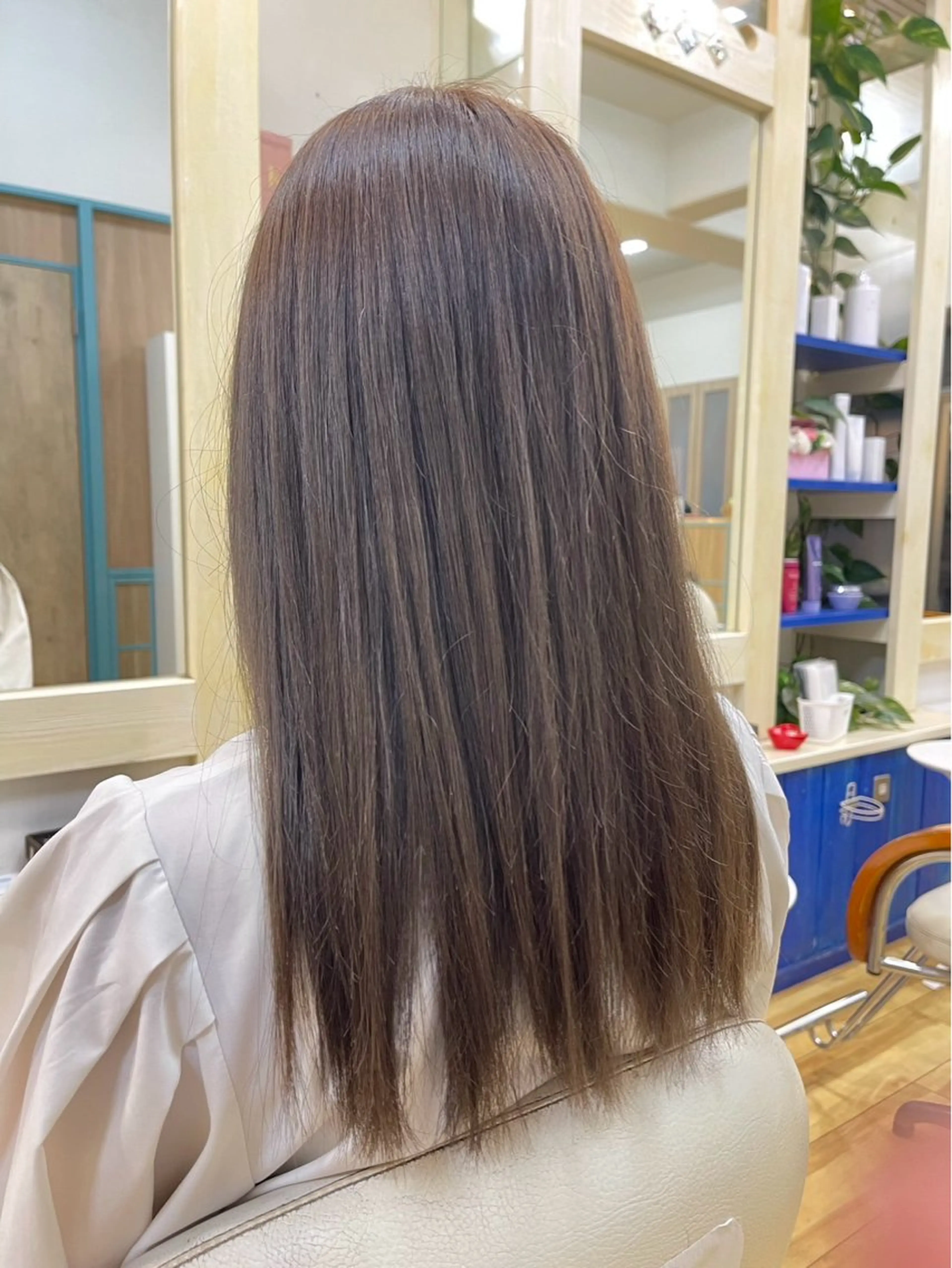 セミロング 細川武琉/艶カラー /Aqua limeのヘアスタイル