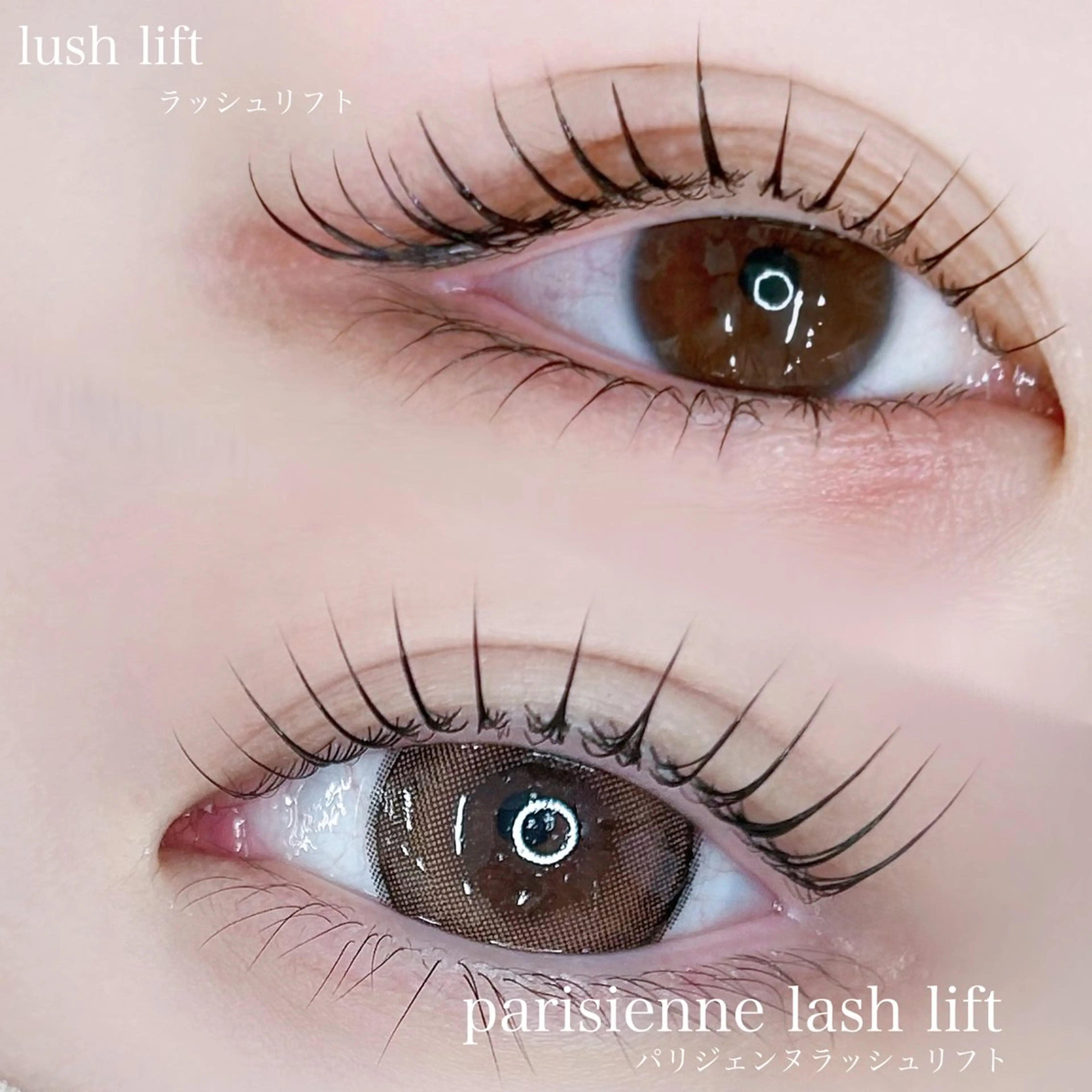 【学生限定】🤍まつげパーマ🤍の写真