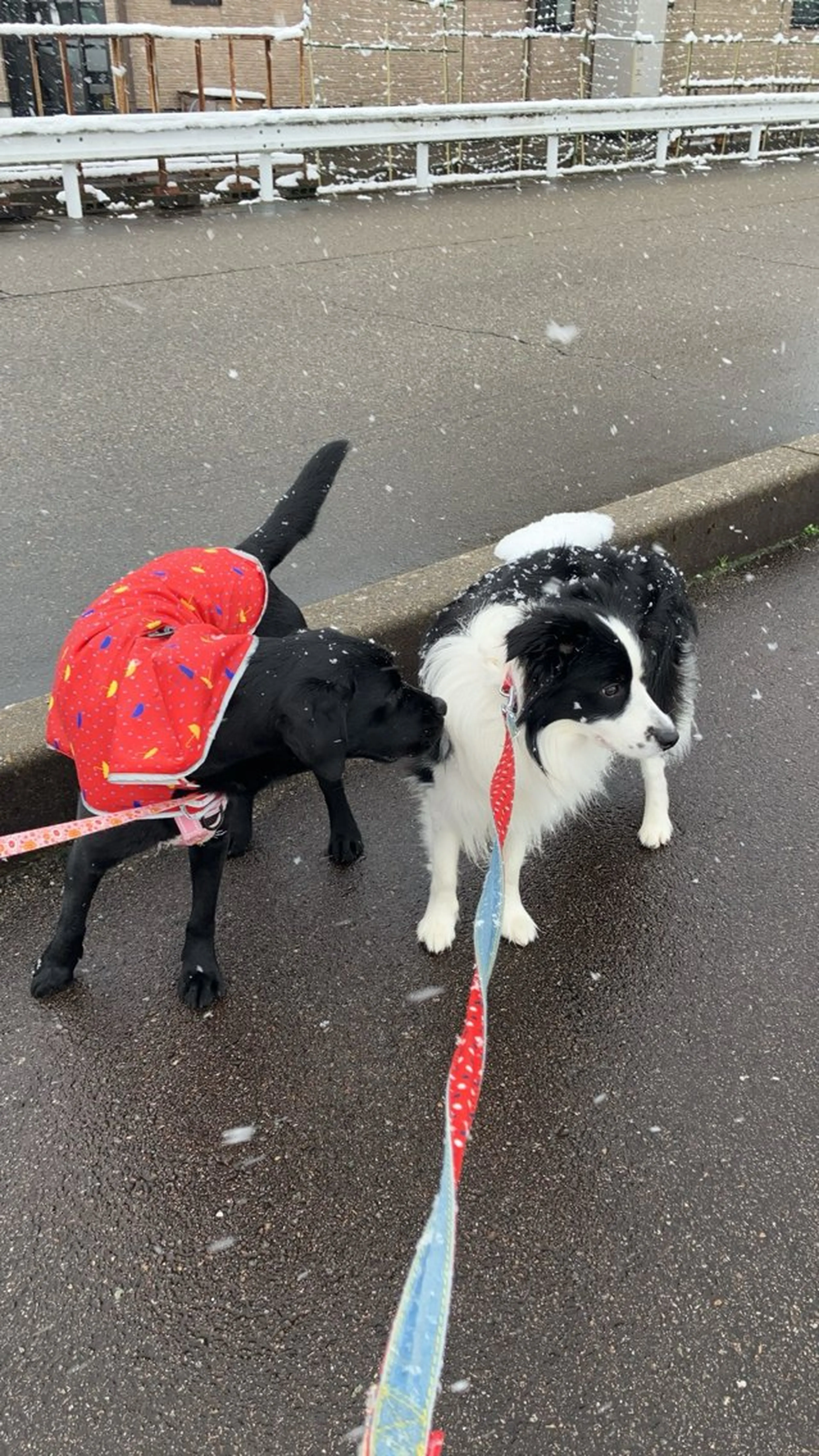 リラクゼーションAi所属・Ai Aiのエステ・リラクイメージ