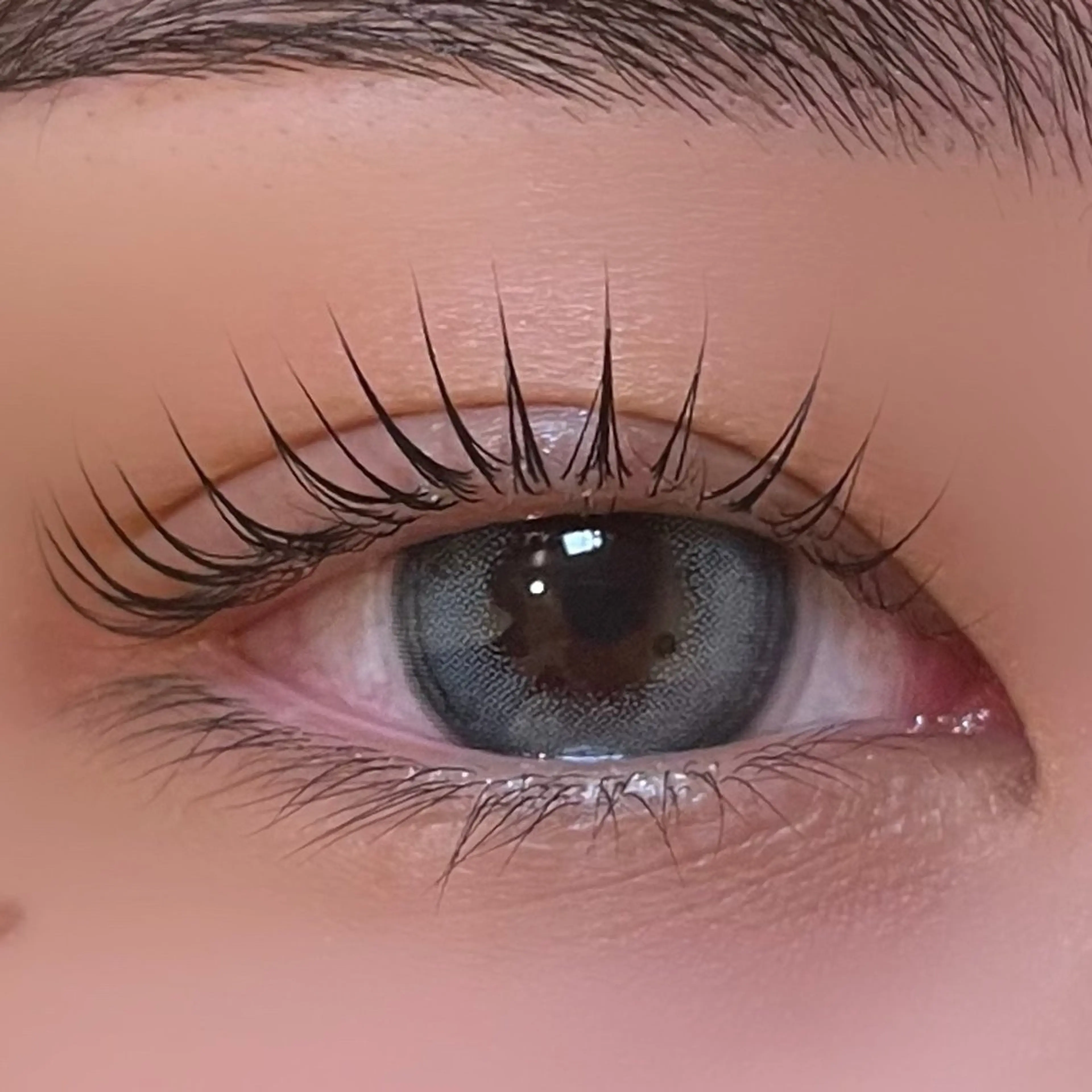 🩵パリジェンヌラッシュリフトorまつ毛パーマ🩵の写真