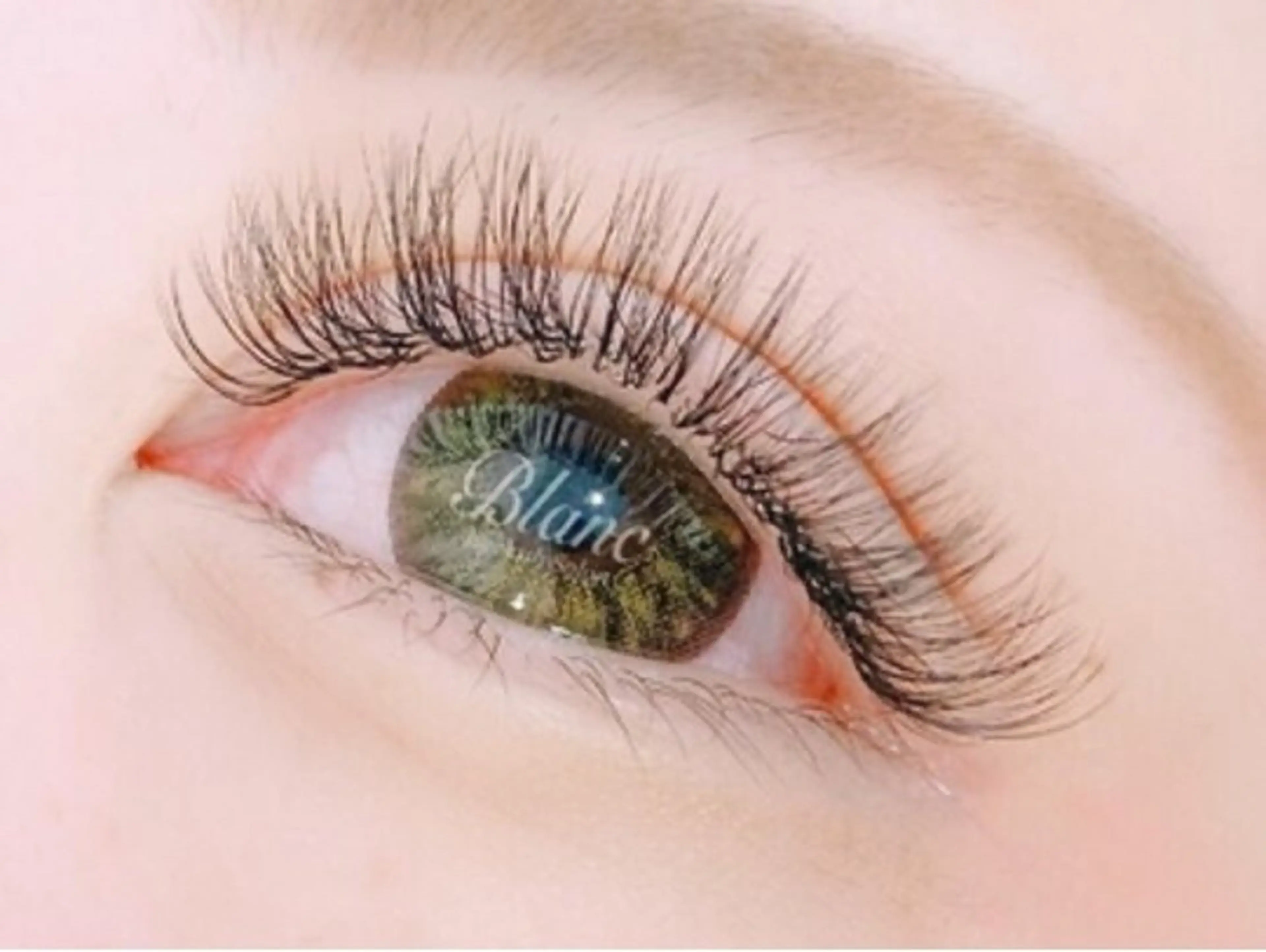 無料❕エクステ120束(ボリュームラッシュ🎀)の写真