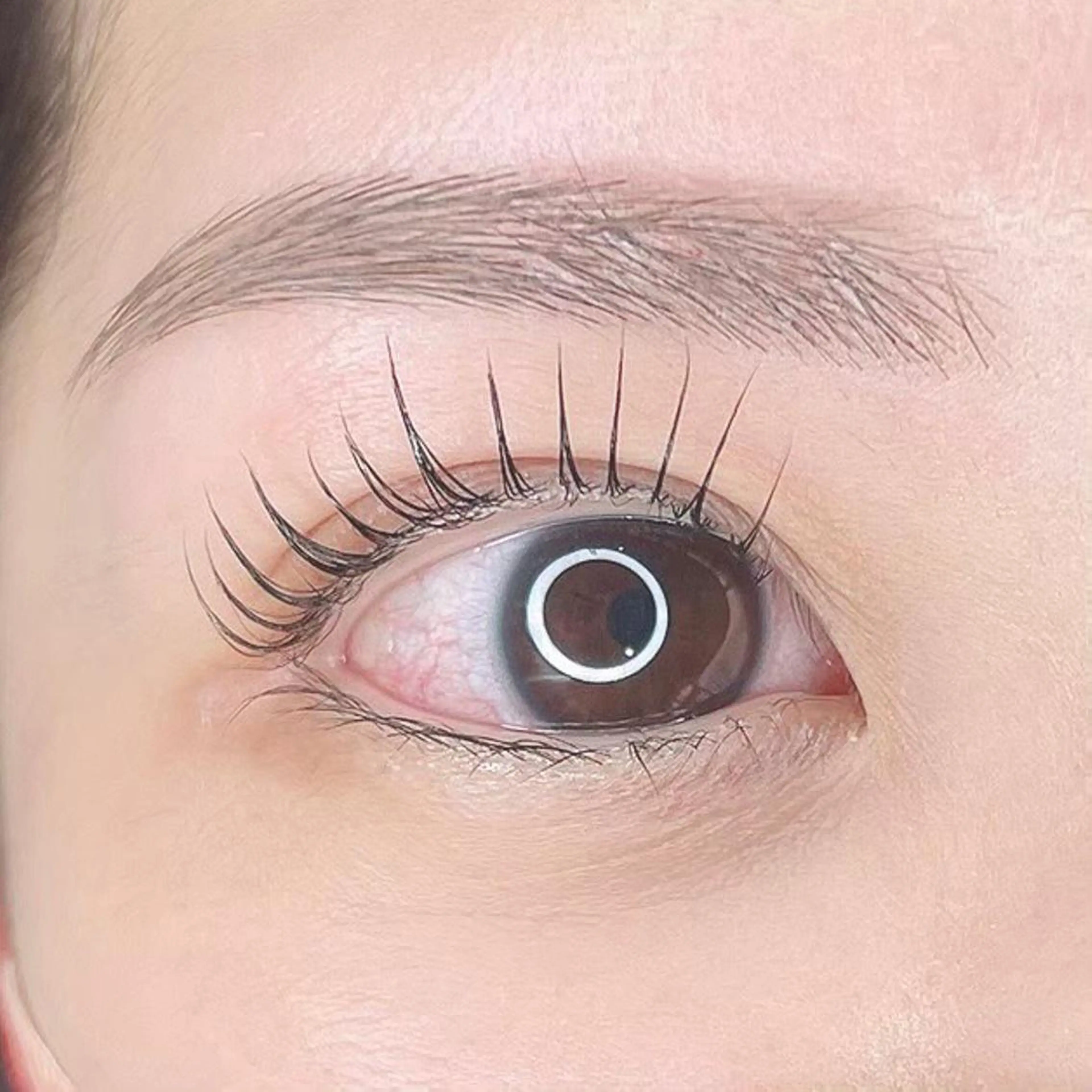 🤍💐まつ毛パーマorパリジェンヌ(束感コーティング付き)×アイブロウWAX💐🤍の写真