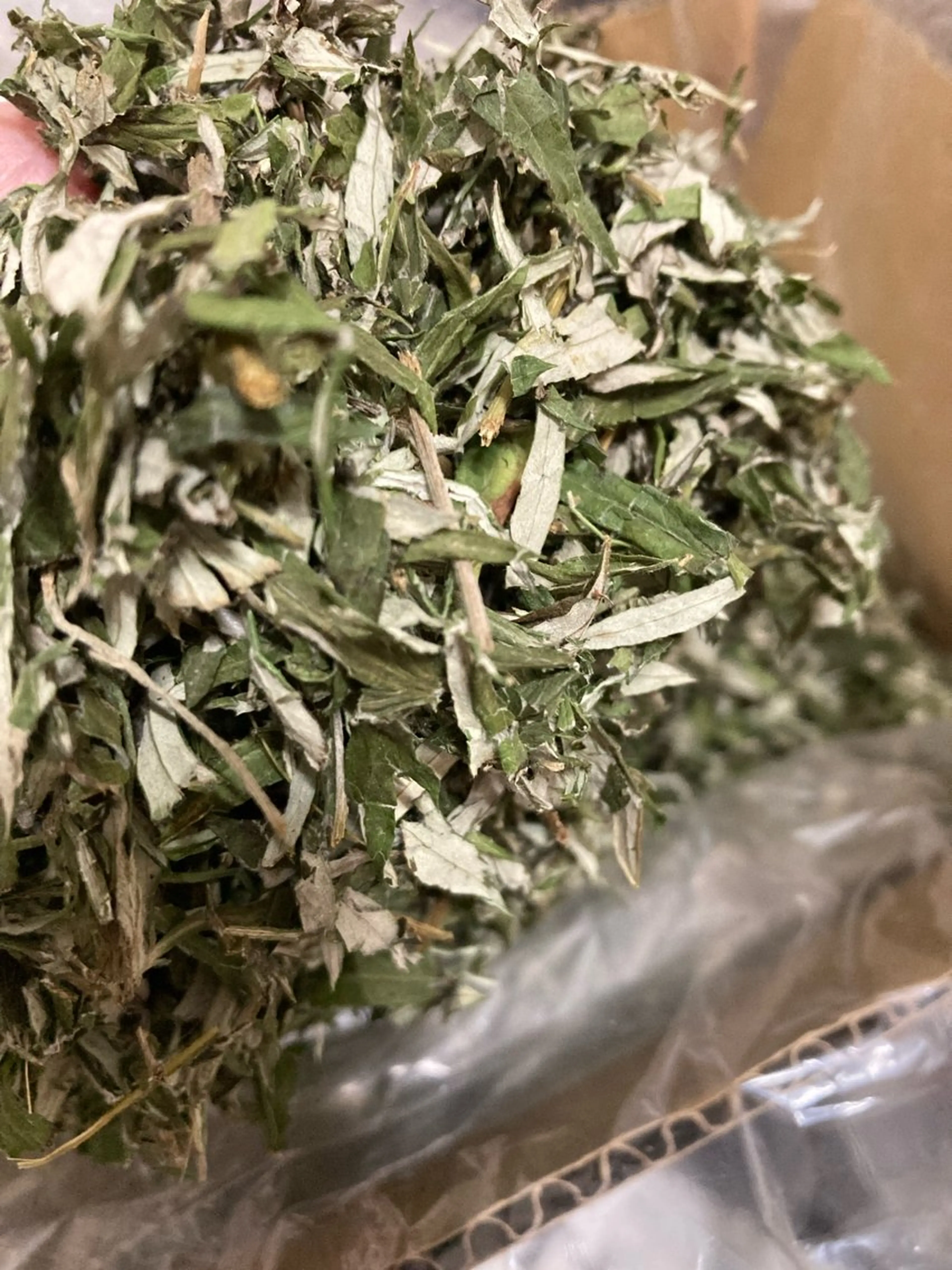 エステサロンピッピ所属・サロンpippi ピッピのエステ・リラクイメージ