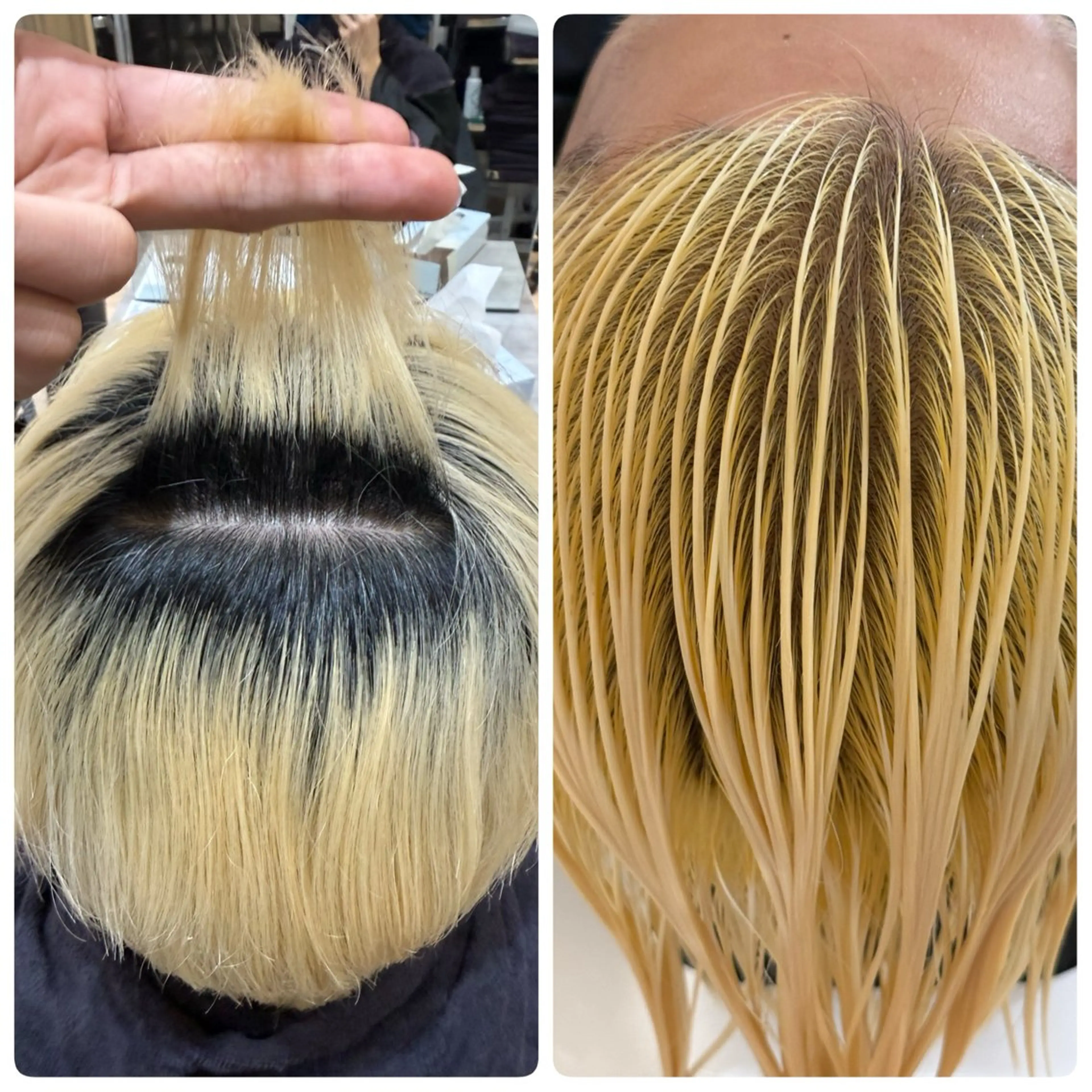 ショート カラー メンズ ヘアカラー Amber  池袋所属・クロギ リョウのヘアスタイル