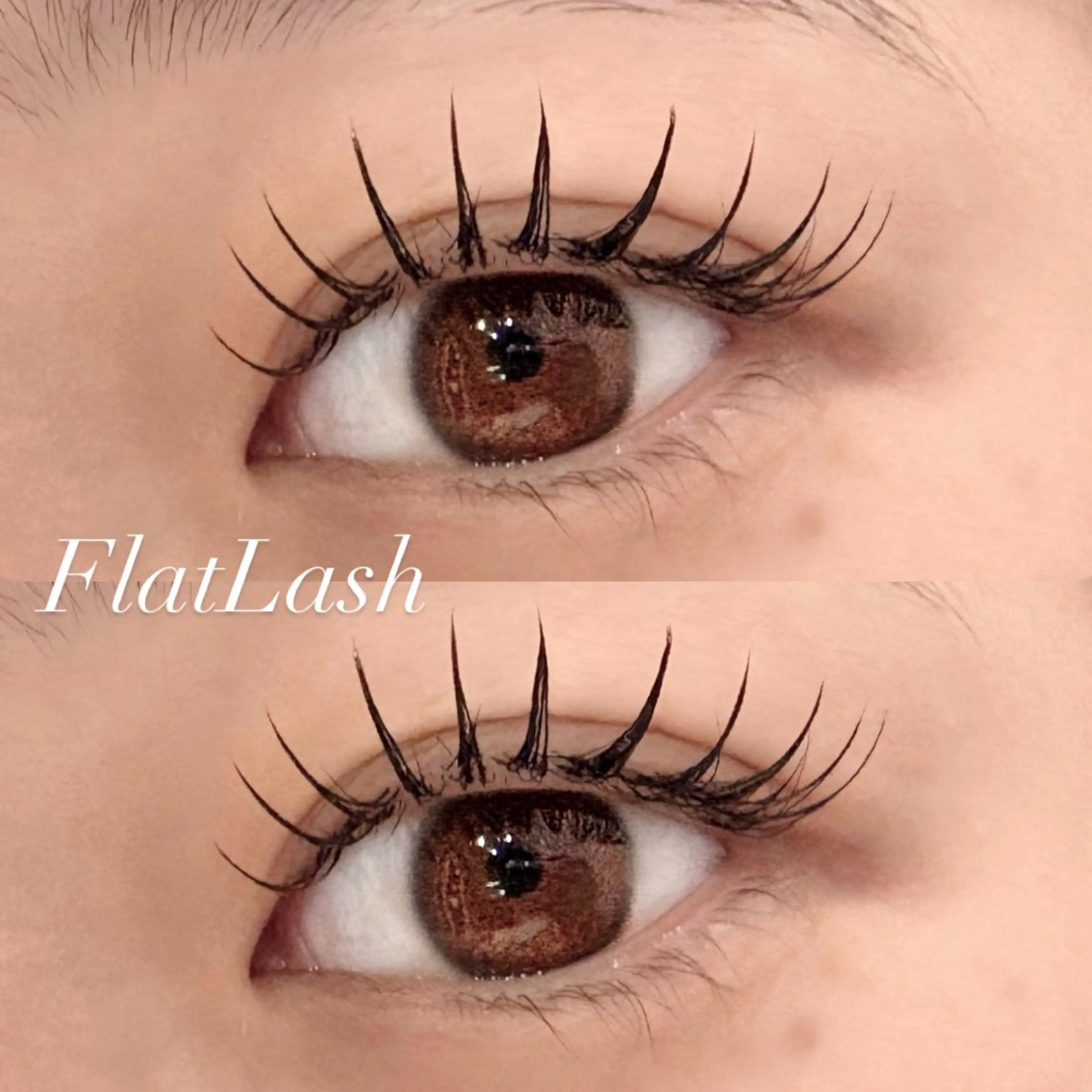 【オフなし】フラットラッシュ120本❄️の写真