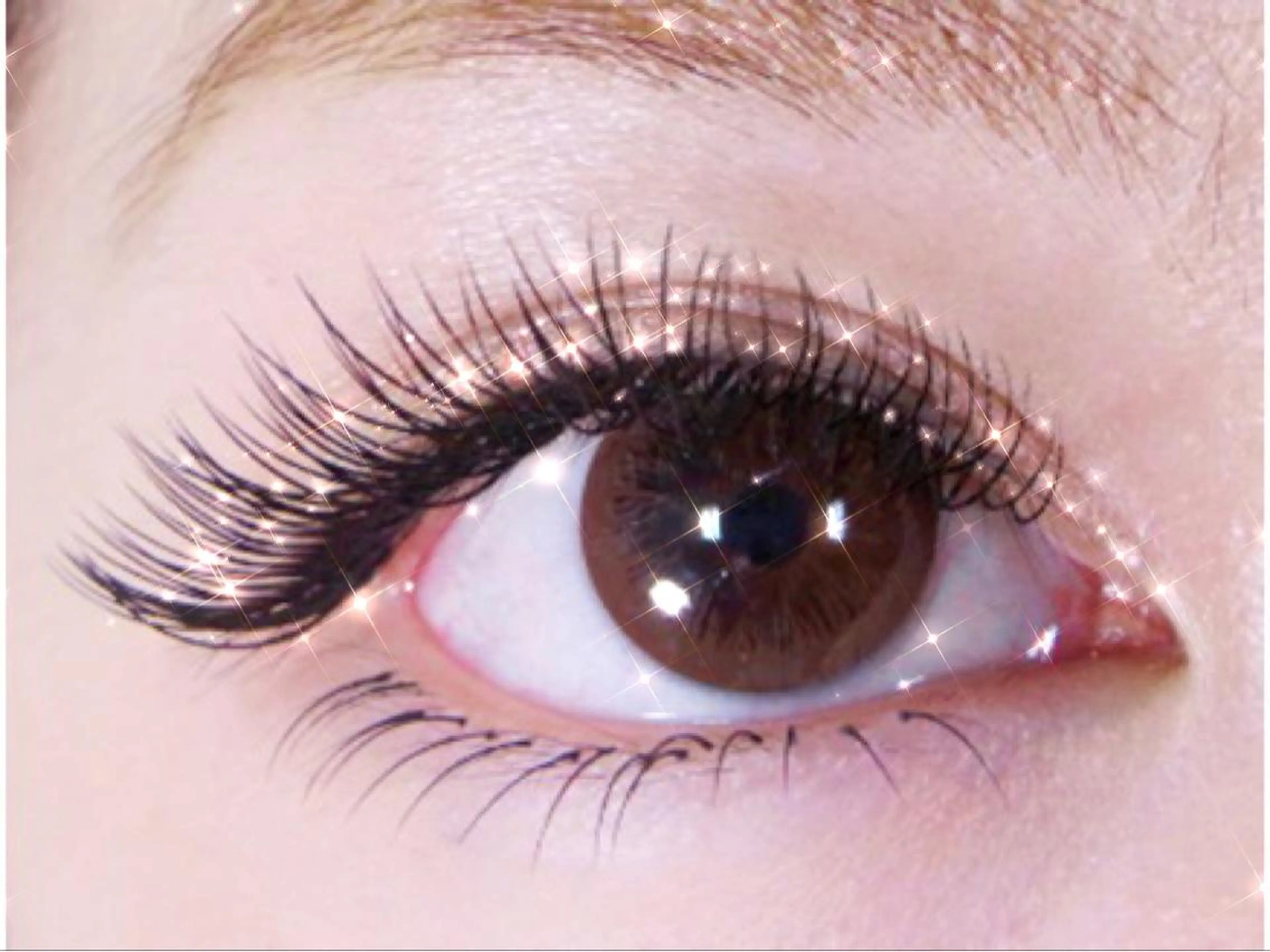 マツエク・マツパ セレビアイ 川崎店のマツエク・マツパデザイン