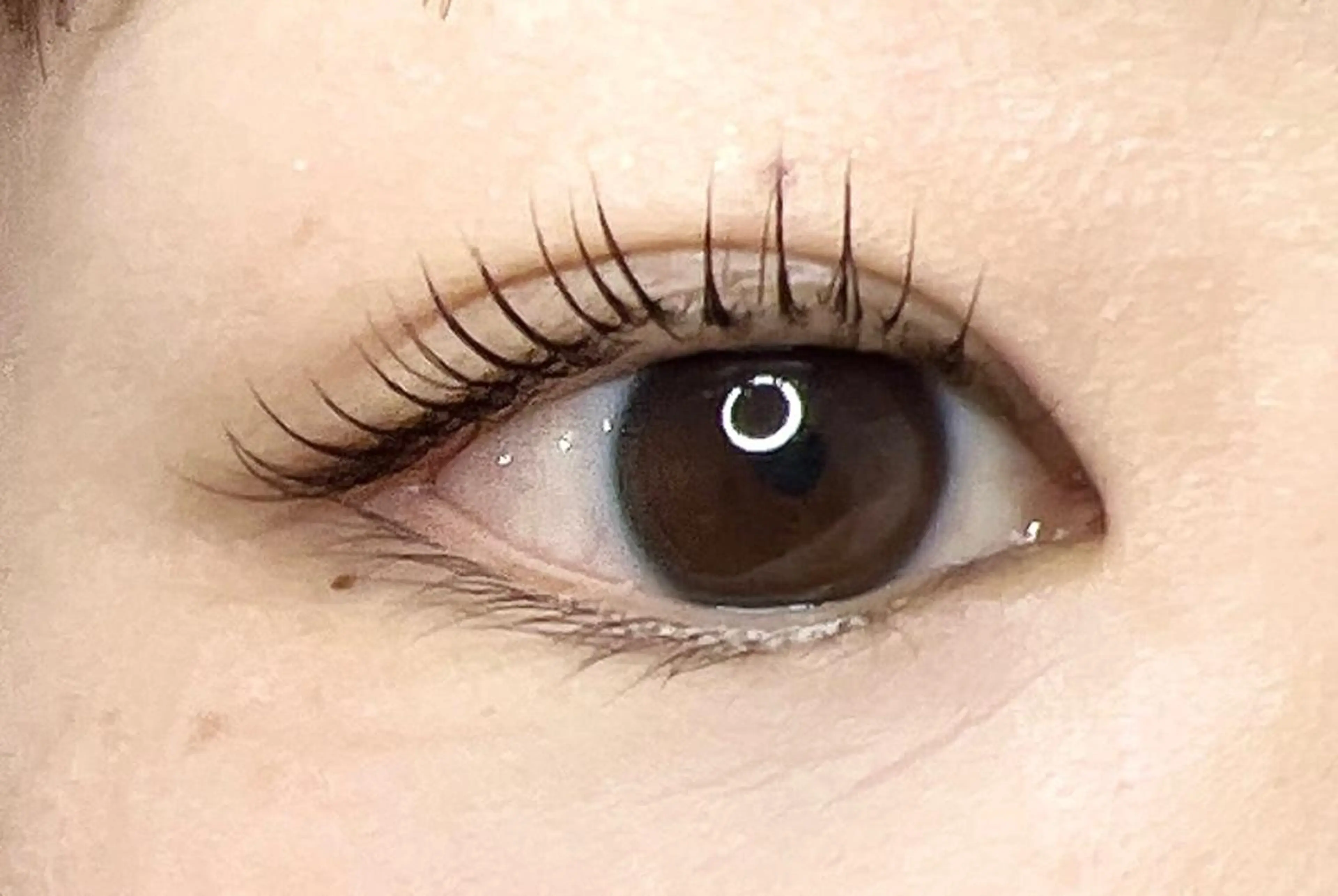 マツエク・マツパ ケラチンラッシュリフト 一重×まつ毛パーマ マツパ eyelash plan api所属・【plan】 kaoriのマツエク・マツパデザイン