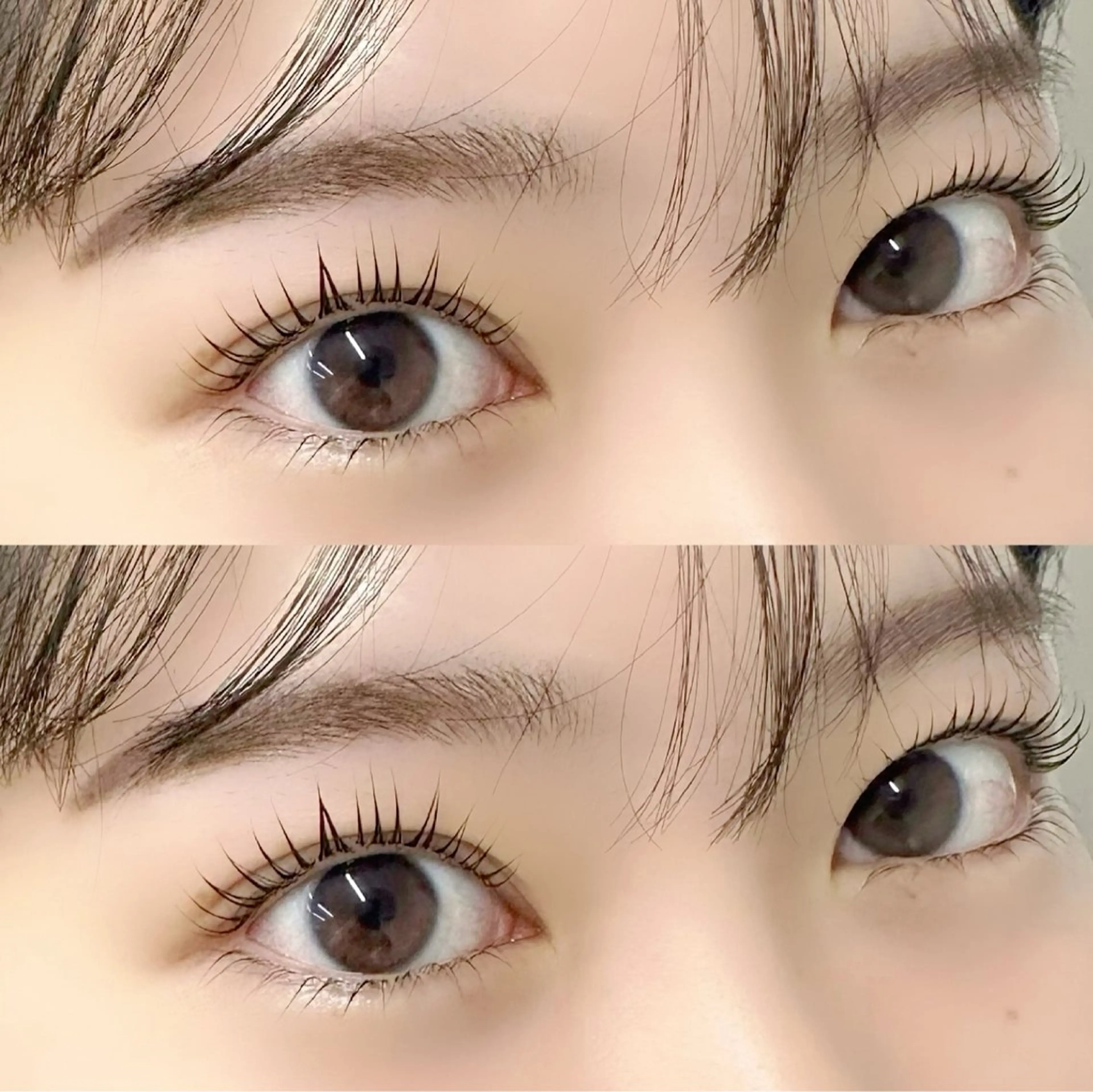 🎀ミニモ限定🎀12月平日限定🌟上下まつ毛パーマ🌟目力UP🆙の写真