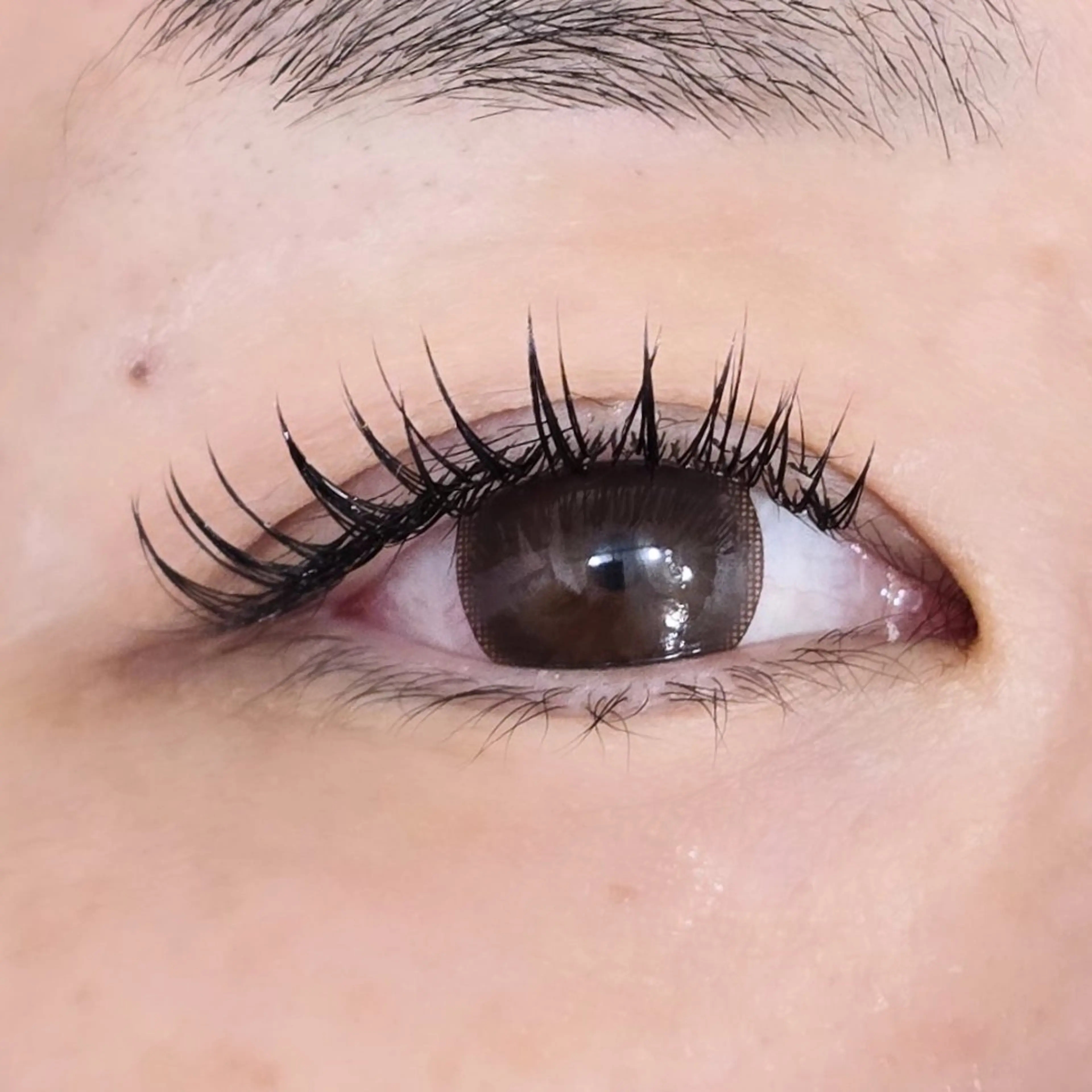 マツエク・マツパ 付け放題 Cカール Nailsalon Blanchat.所属・プライベートサロン ブランシャのマツエク・マツパデザイン