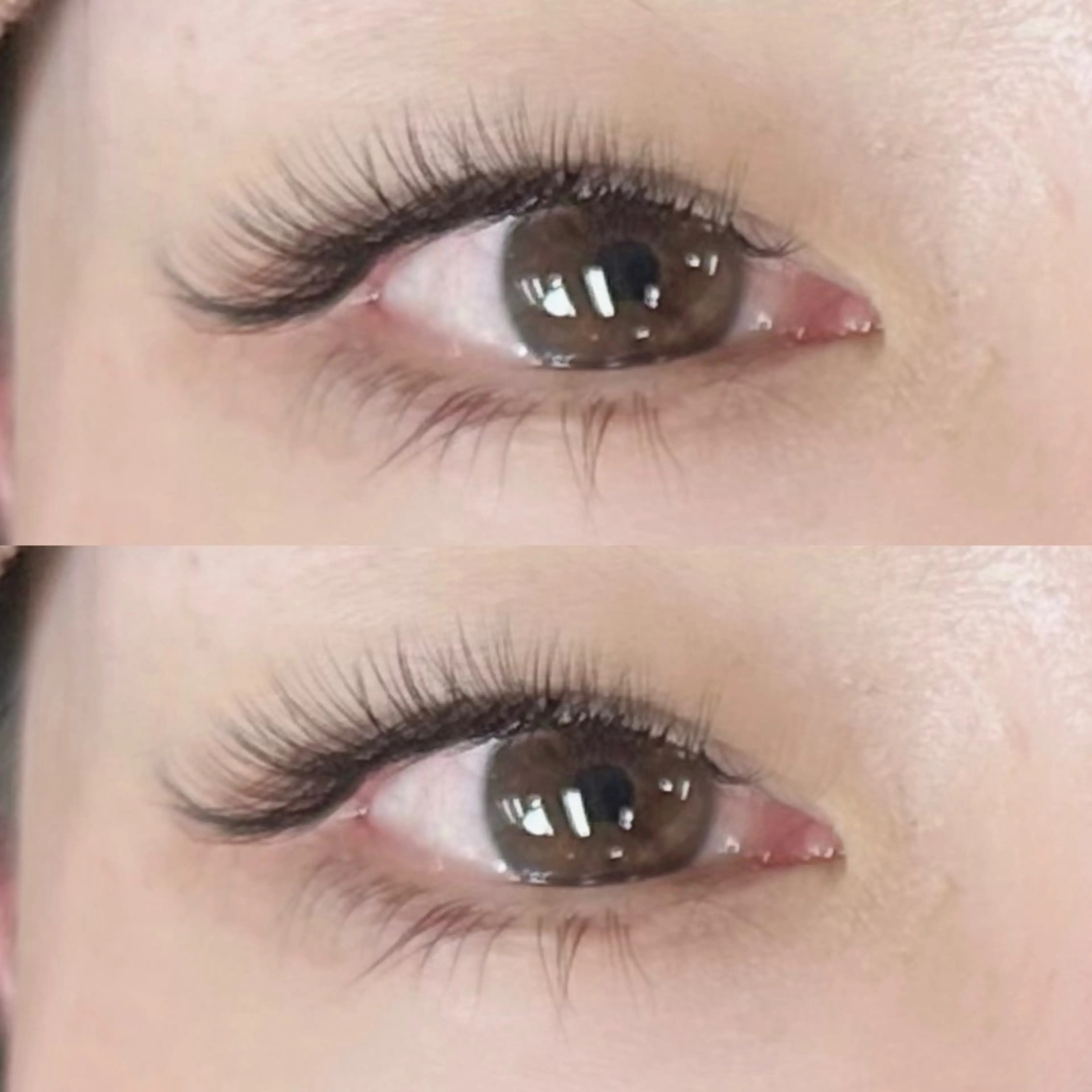 マツエク・マツパ マツエク 【amii】曽根🥀 /束感/エク/パリのマツエク・マツパデザイン