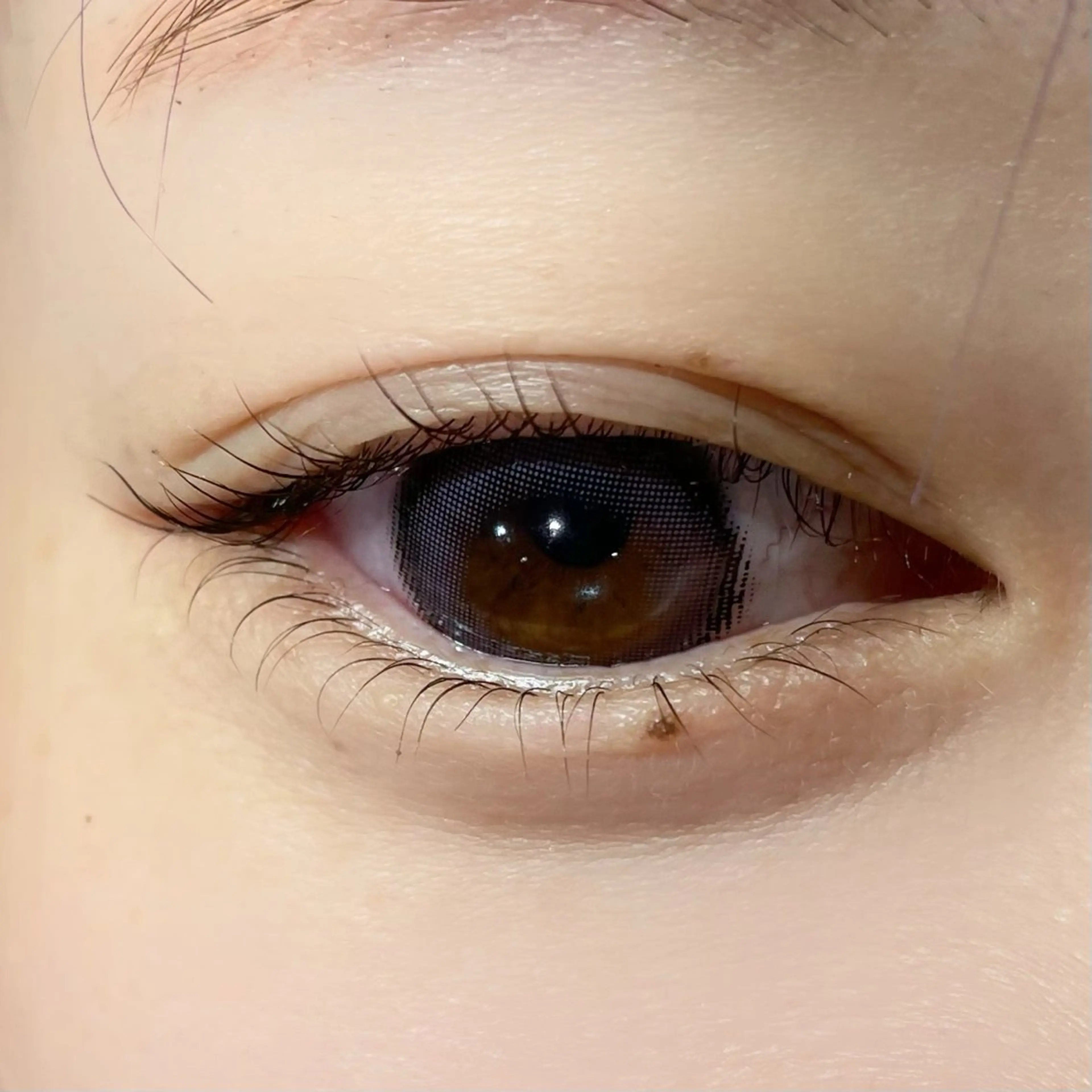 マツエク・マツパ マツパ 櫻井 怜華のマツエク・マツパデザイン