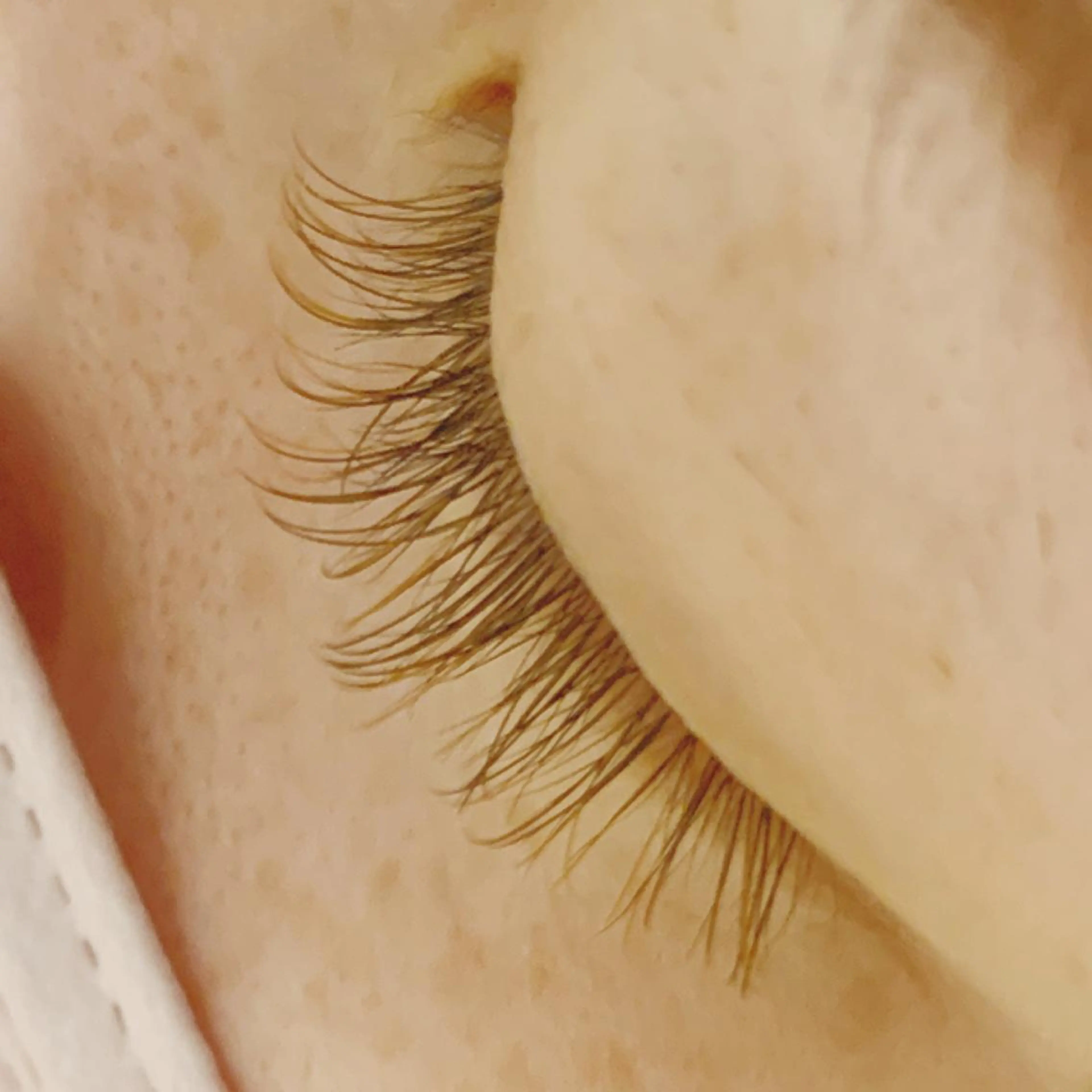 マツエク・マツパ カラーマツエク ailes MAIのマツエク・マツパデザイン