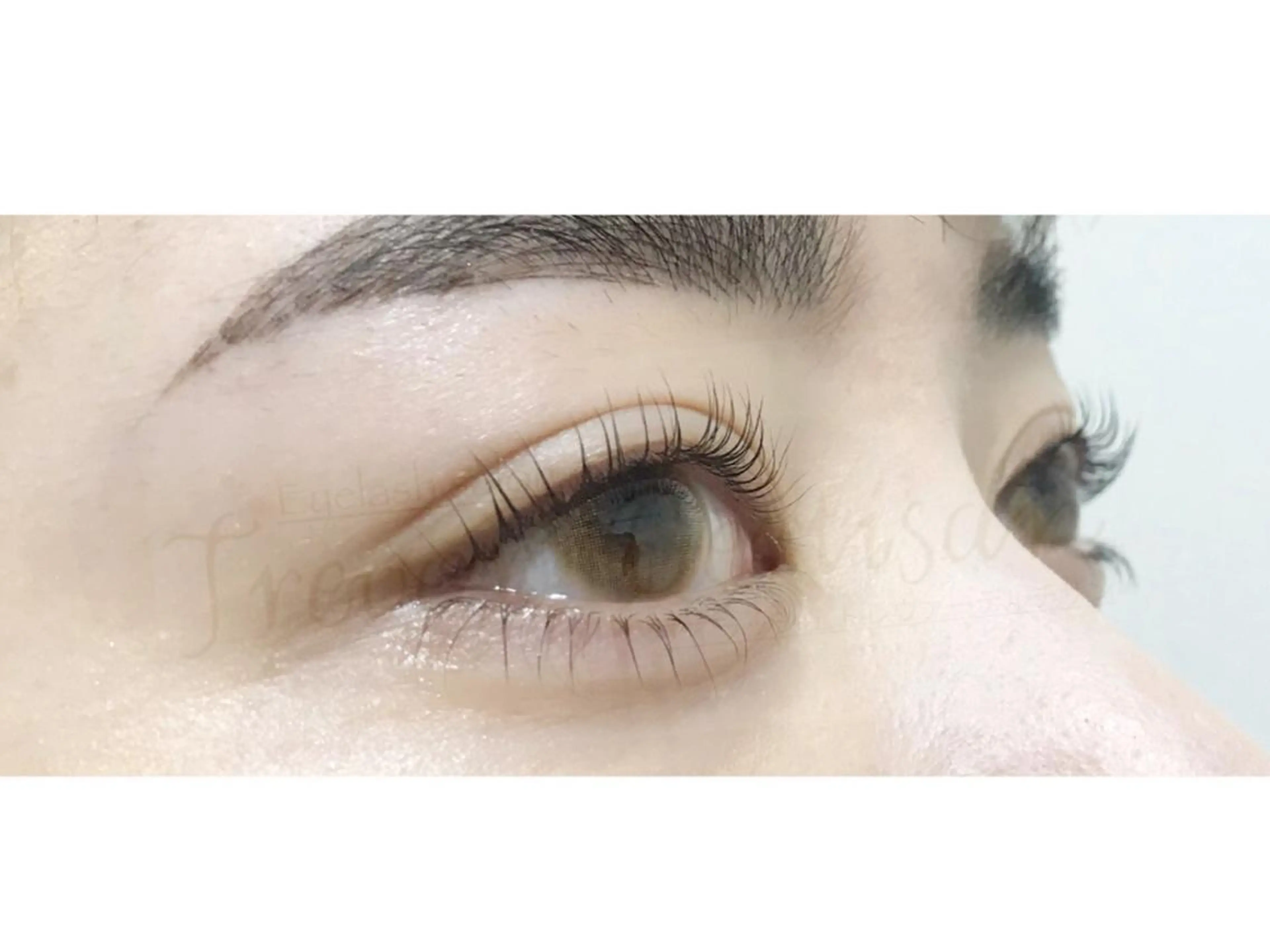 マツエク・マツパ マツパ トレヴァーデルチザン inuiのマツエク・マツパデザイン