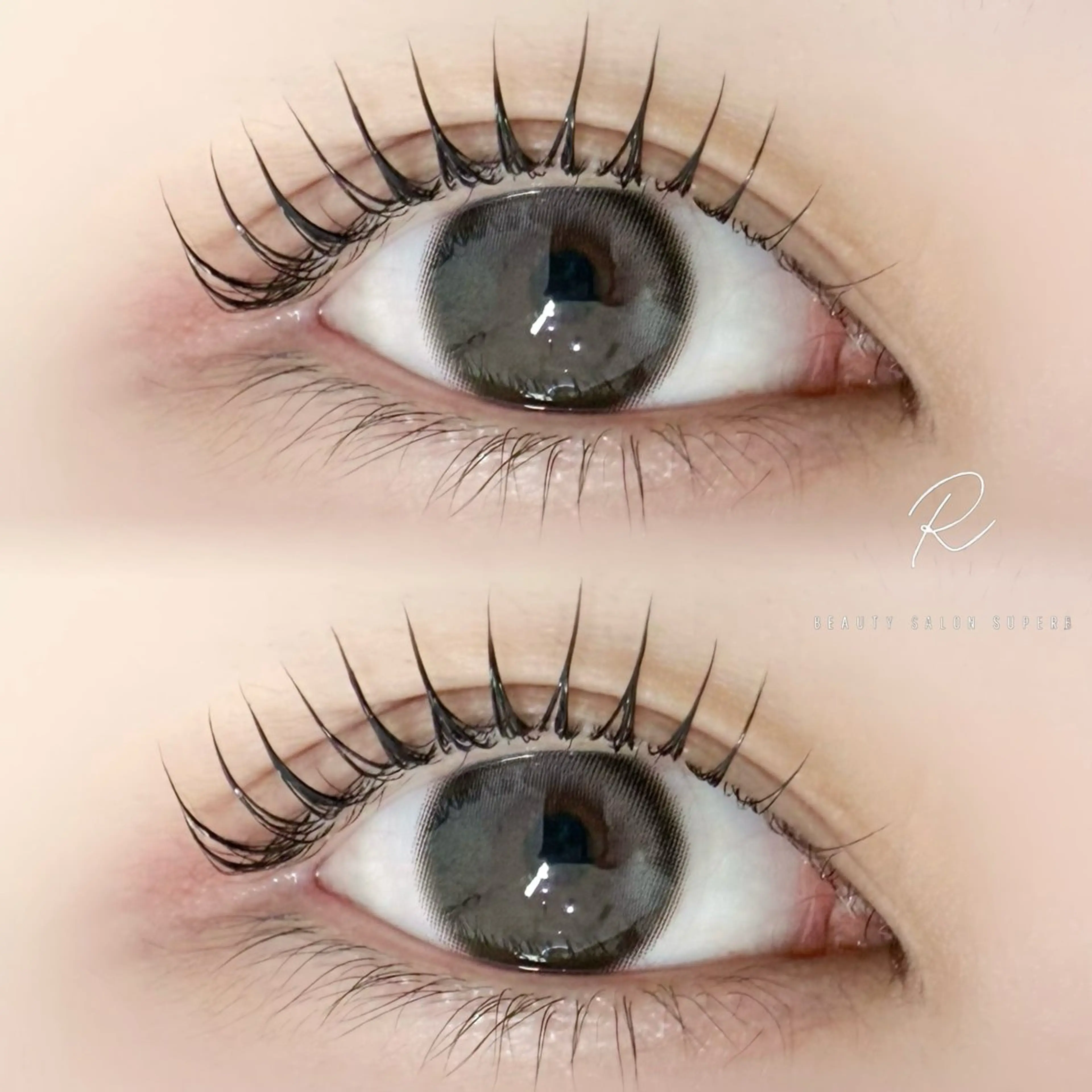 《🎅🏻25日クリスマス限定🎄》パリジェンヌor韓国ロッド💜+トリートメント込🫧コーティング束感仕上げ🇰🇷の写真