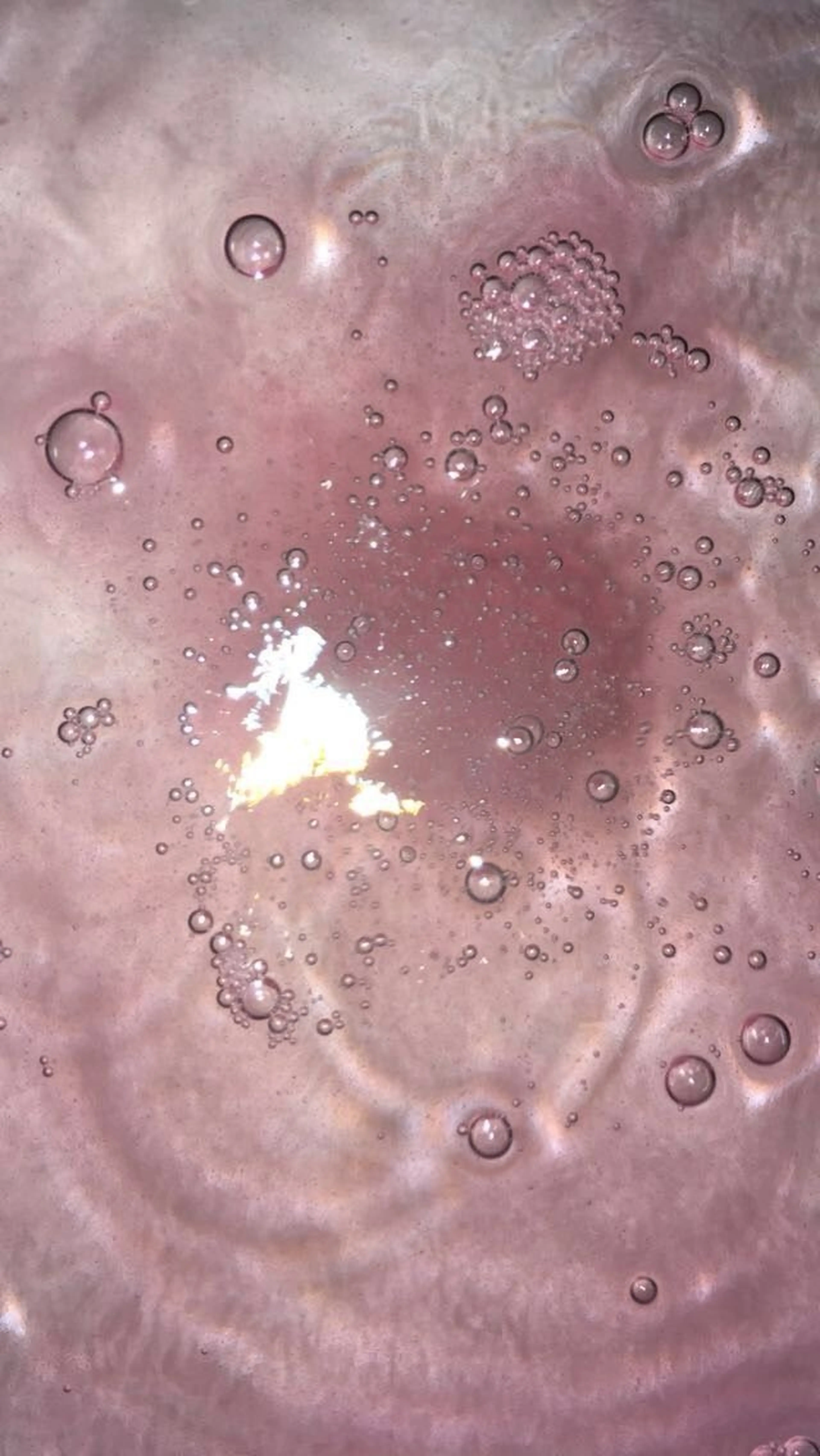 VENUS　BELT RINのマツエク・マツパデザイン