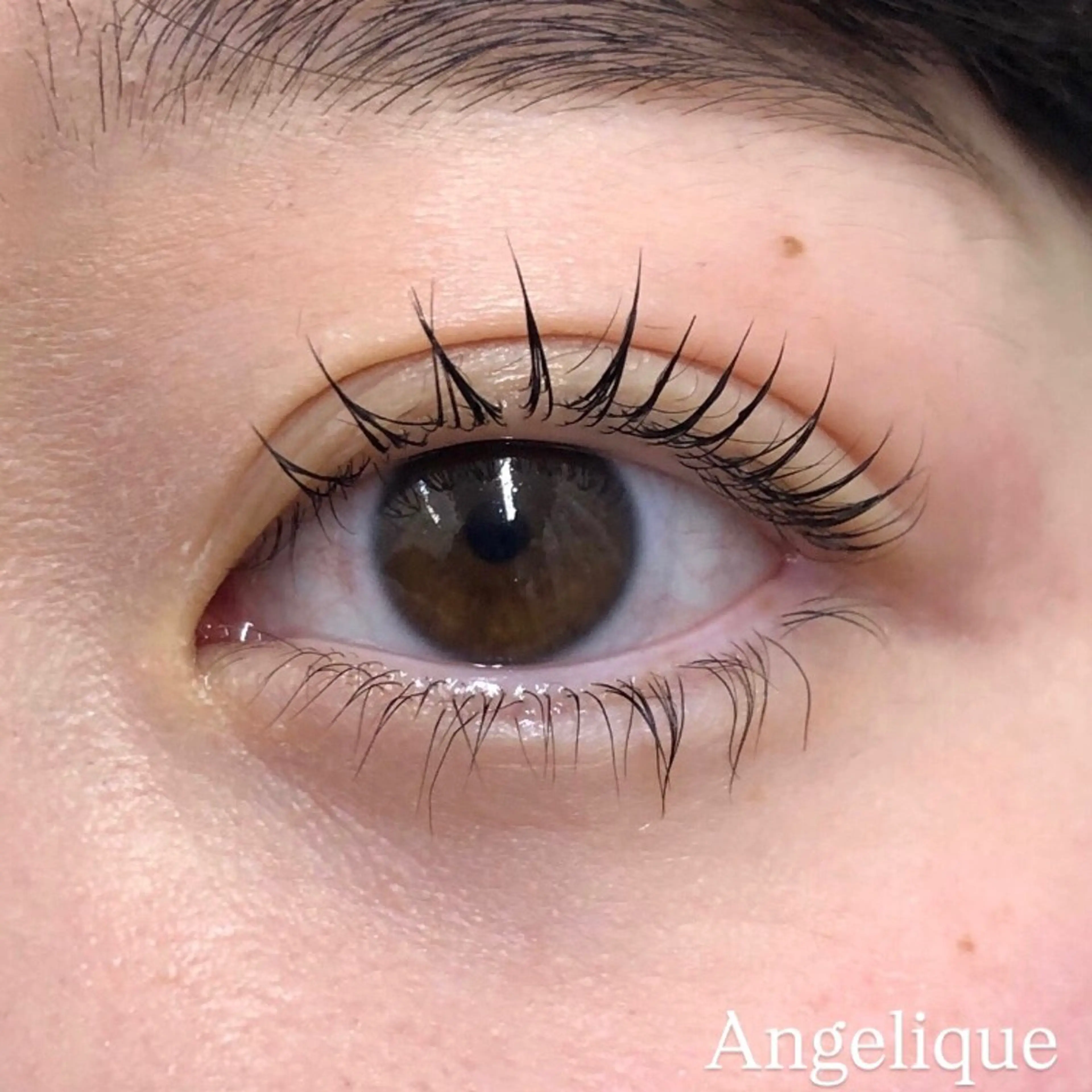 マツエク・マツパ 一重×まつ毛パーマ 小山 澪のマツエク・マツパデザイン