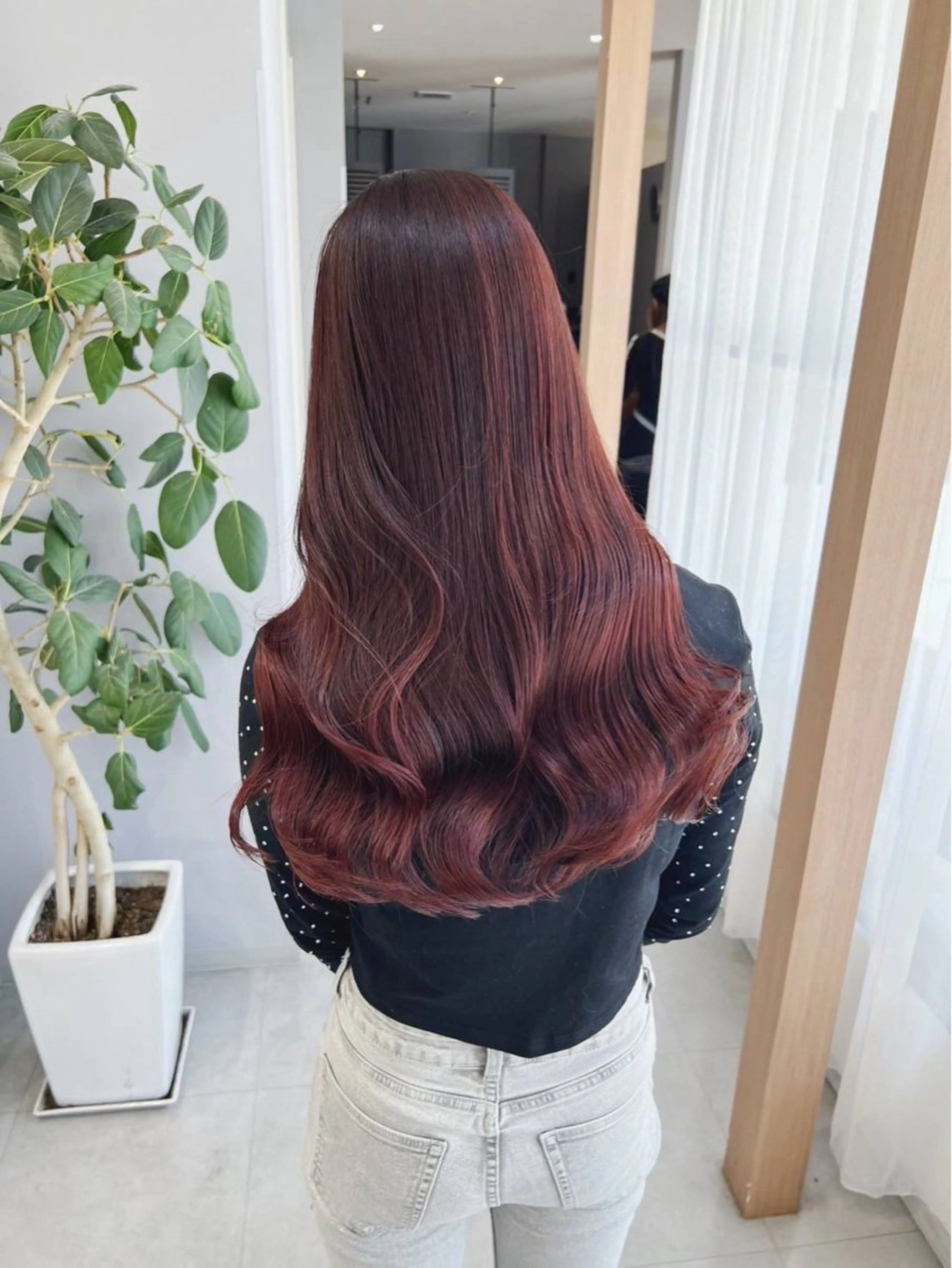 ✨本日限定✨【3名様】カット+カラー+トリートメントの写真