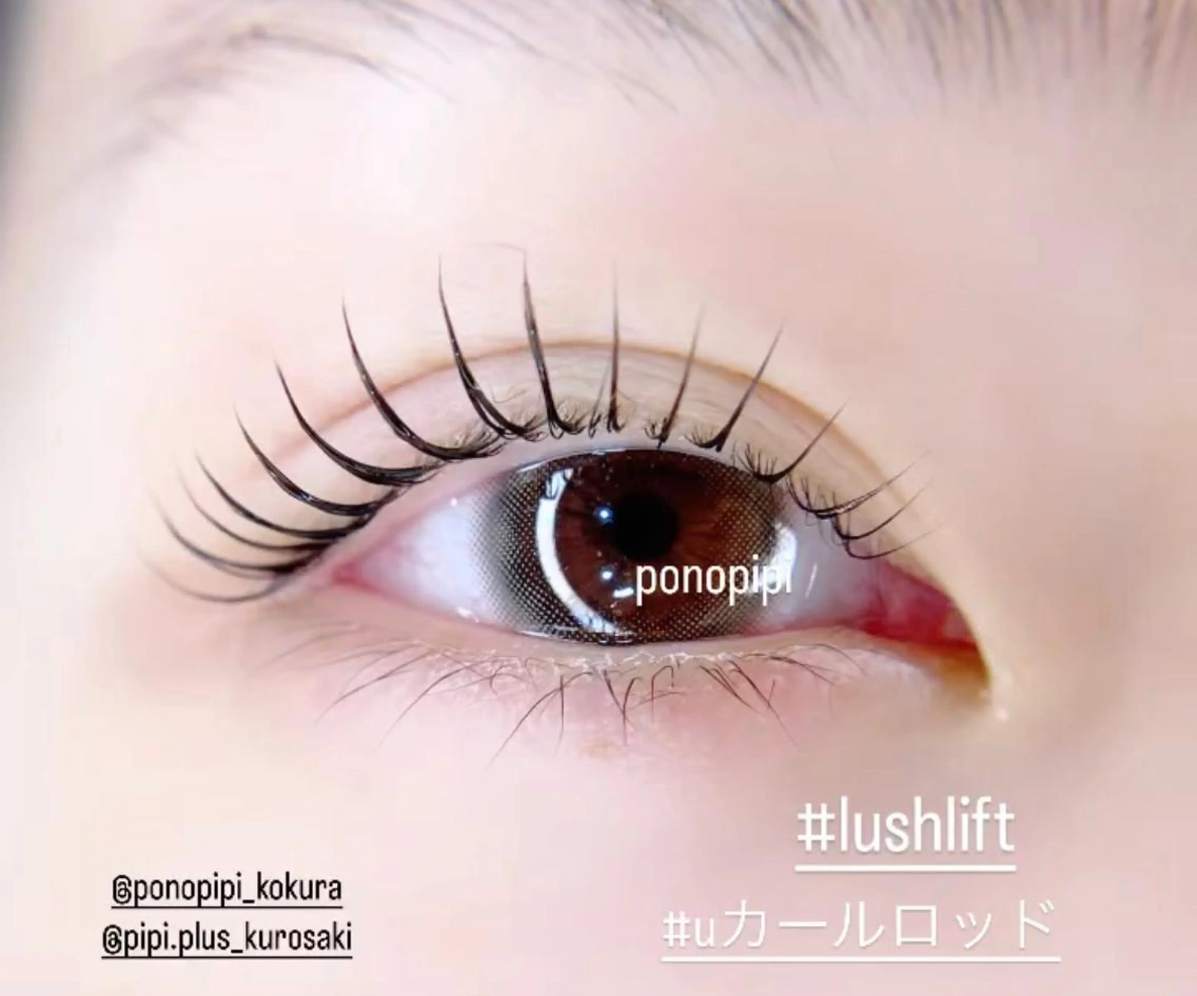 期間限定❣️パリジェンヌラッシュリフトorまつ毛パーマ♪ブラックティント+1000円の写真