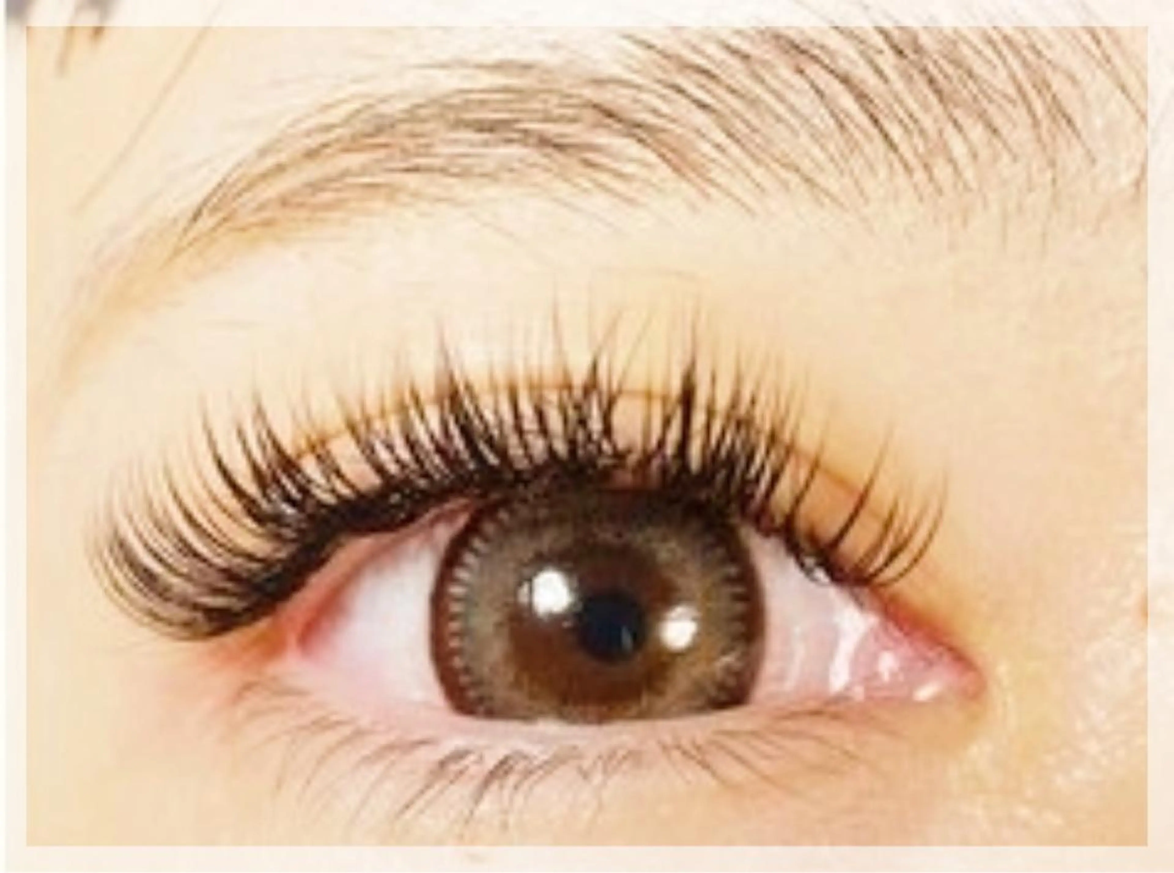 🤍オフ無料2D3Dエクステ🤍120本5700円/140本6200円の写真