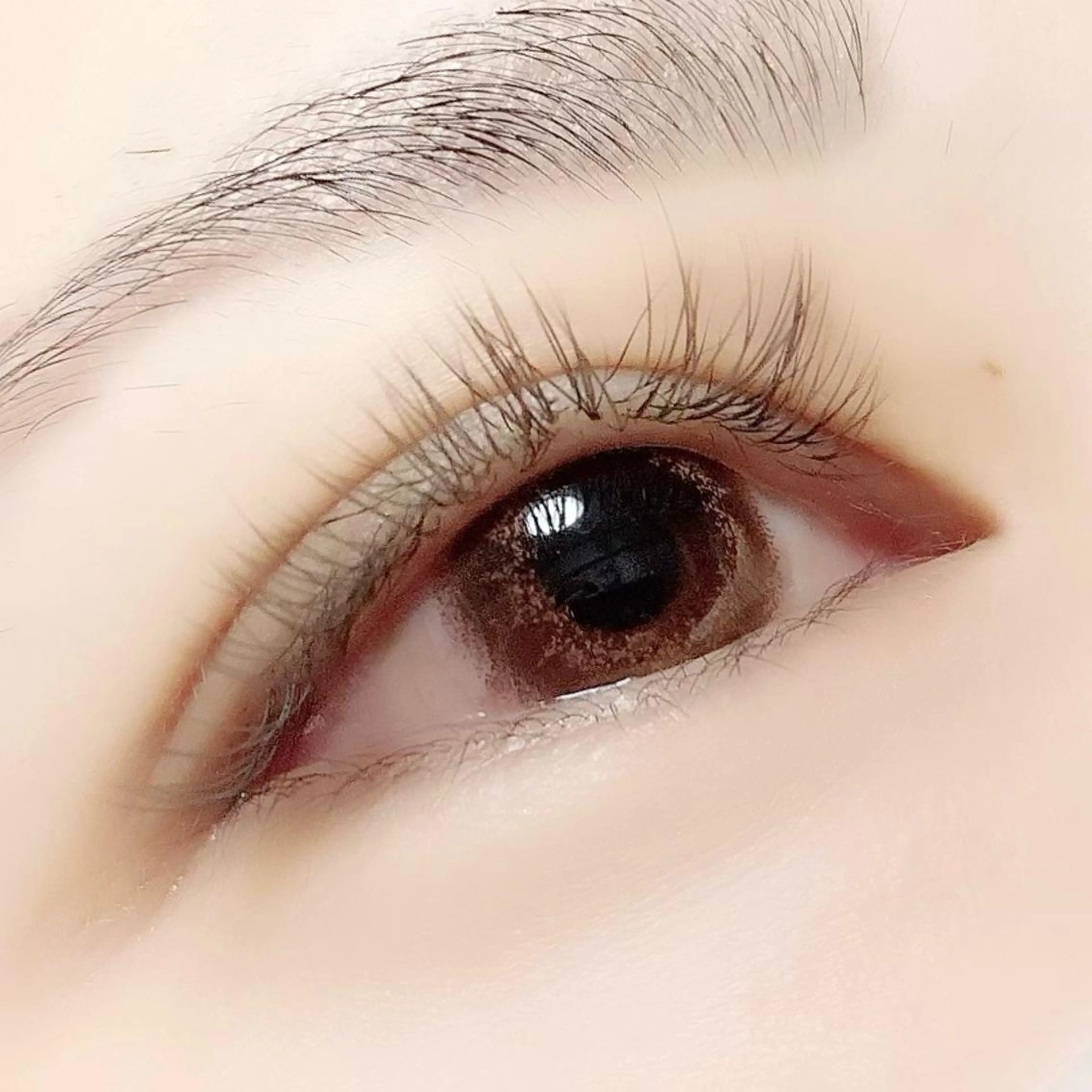 マツエク・マツパ Hase　本八幡 🧸マツエク専門🧸のマツエク・マツパデザイン