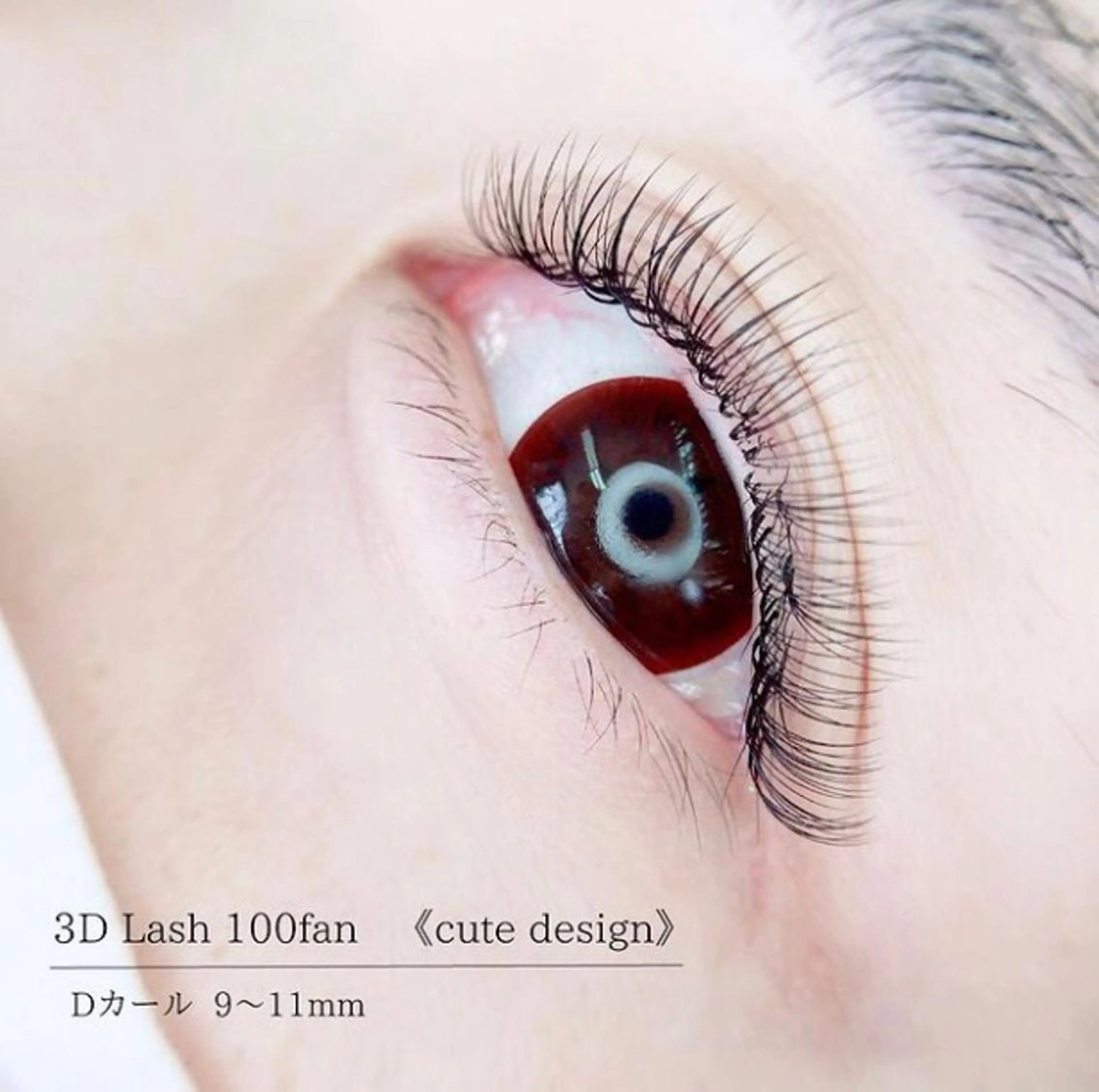 マツエク・マツパ マツエク MIGNON 冨田　当日予約のみのマツエク・マツパデザイン