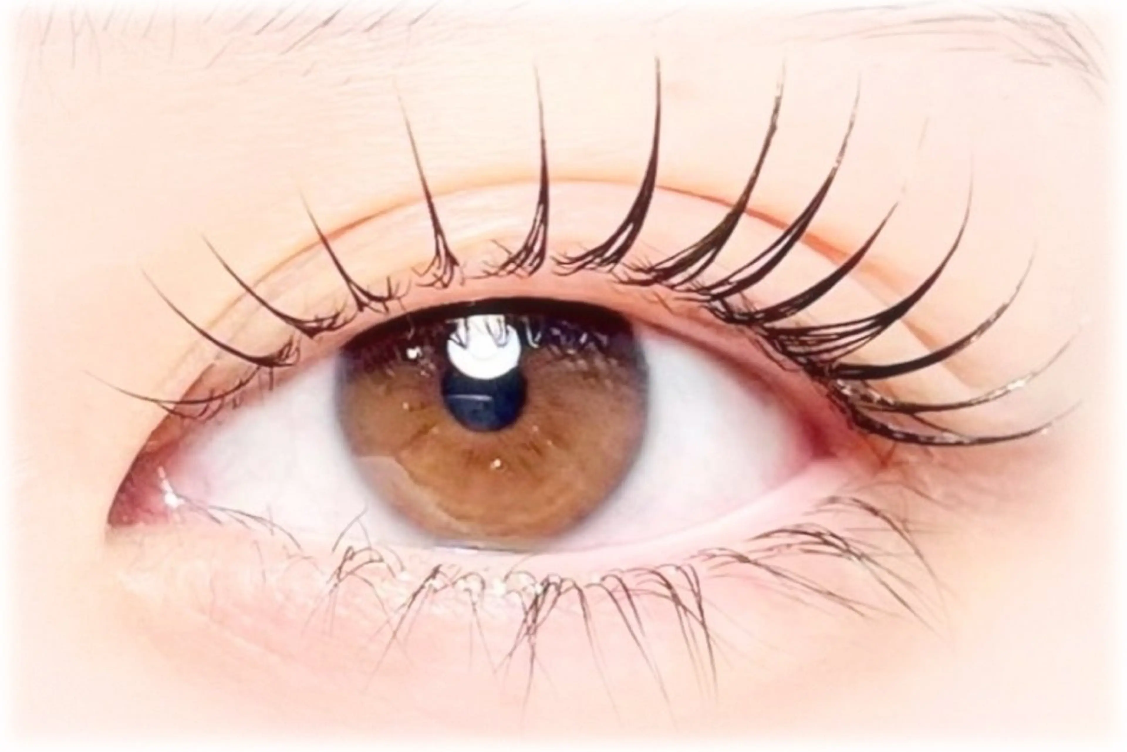 マツエク・マツパ Dahlia Beauty 伊藤のマツエク・マツパデザイン