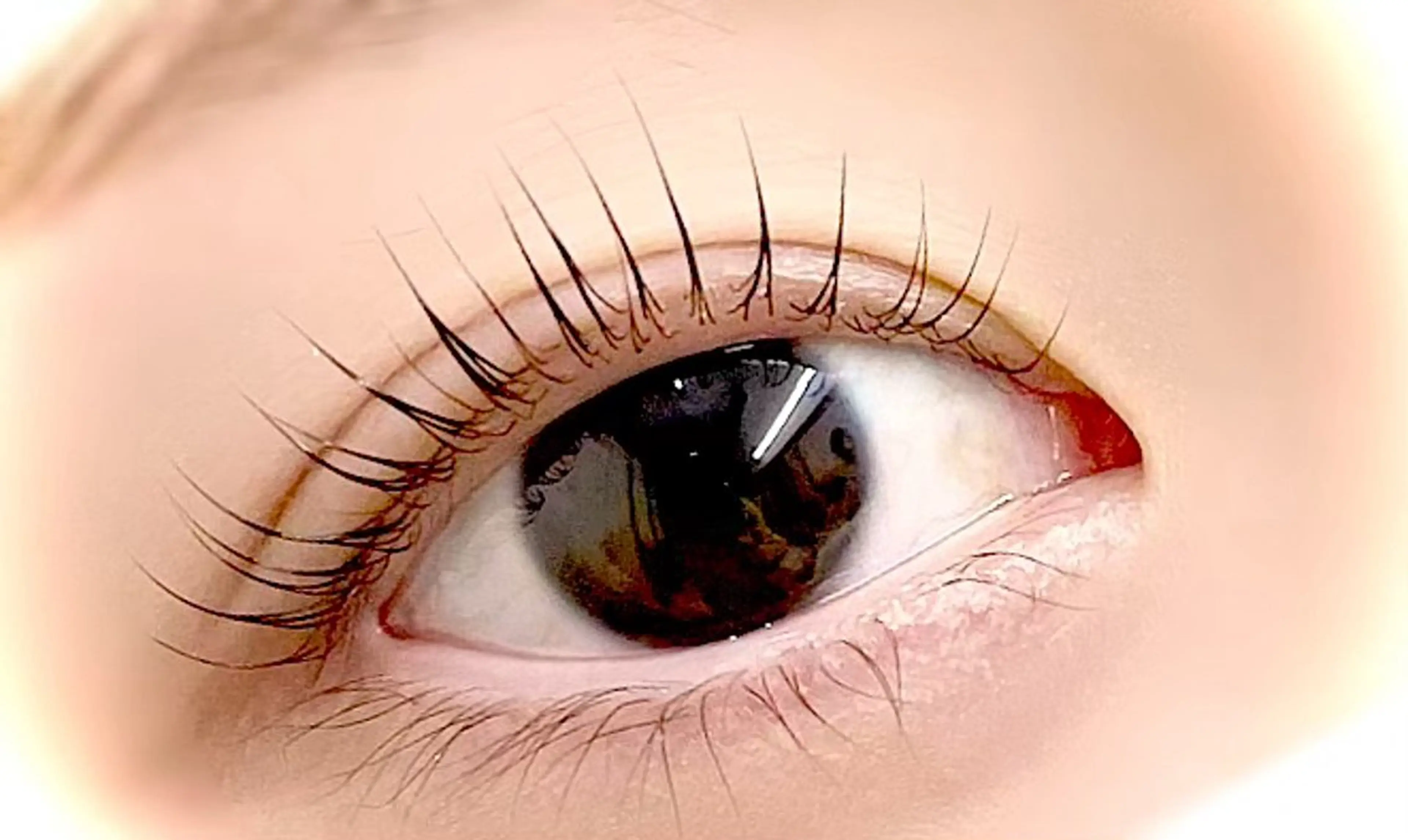 マツエク・マツパ マツパ kelly Shokoのマツエク・マツパデザイン