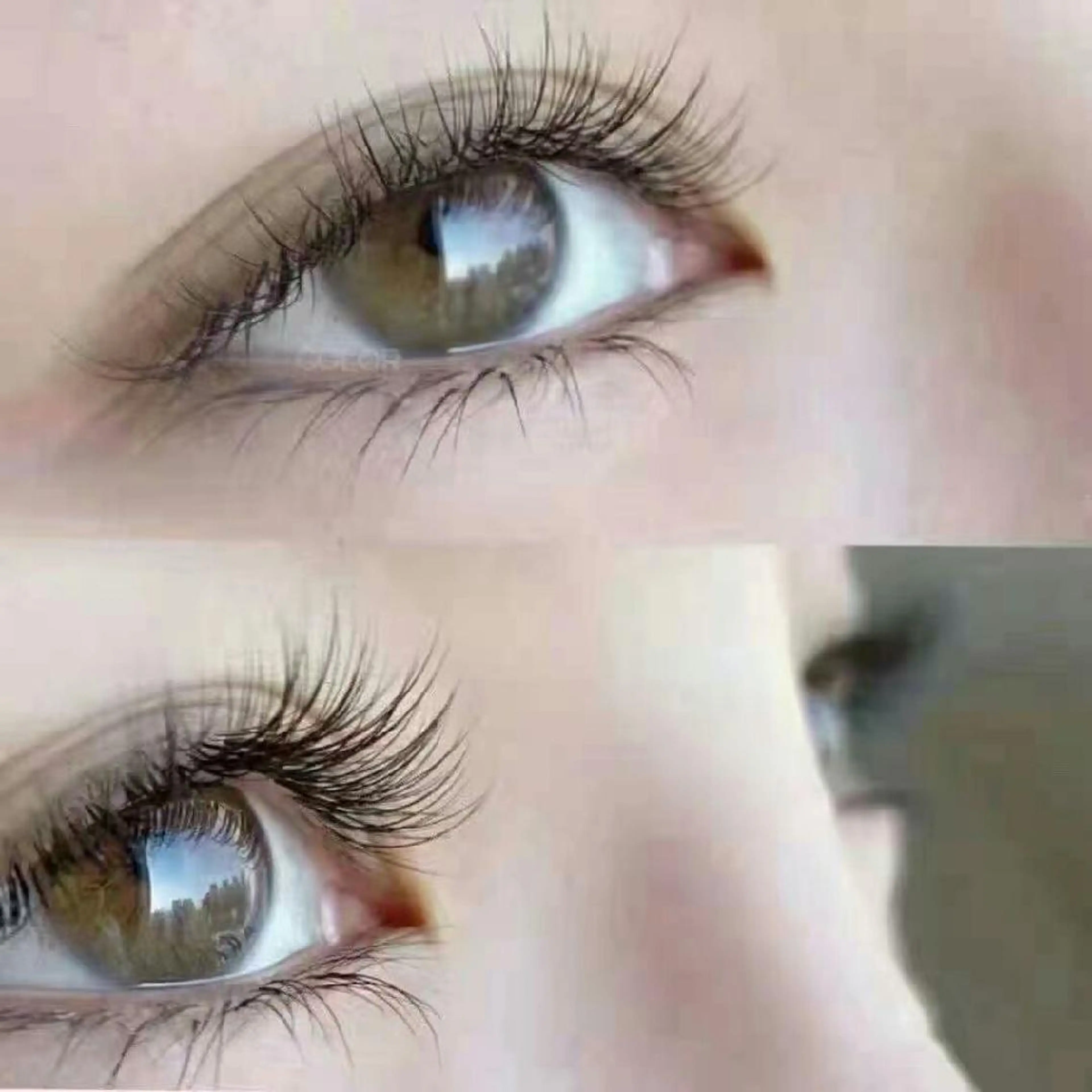 セーブルシングルラッシュつけ放題。他店Off無料、眉毛カット無料、眉毛メイク無料。の写真