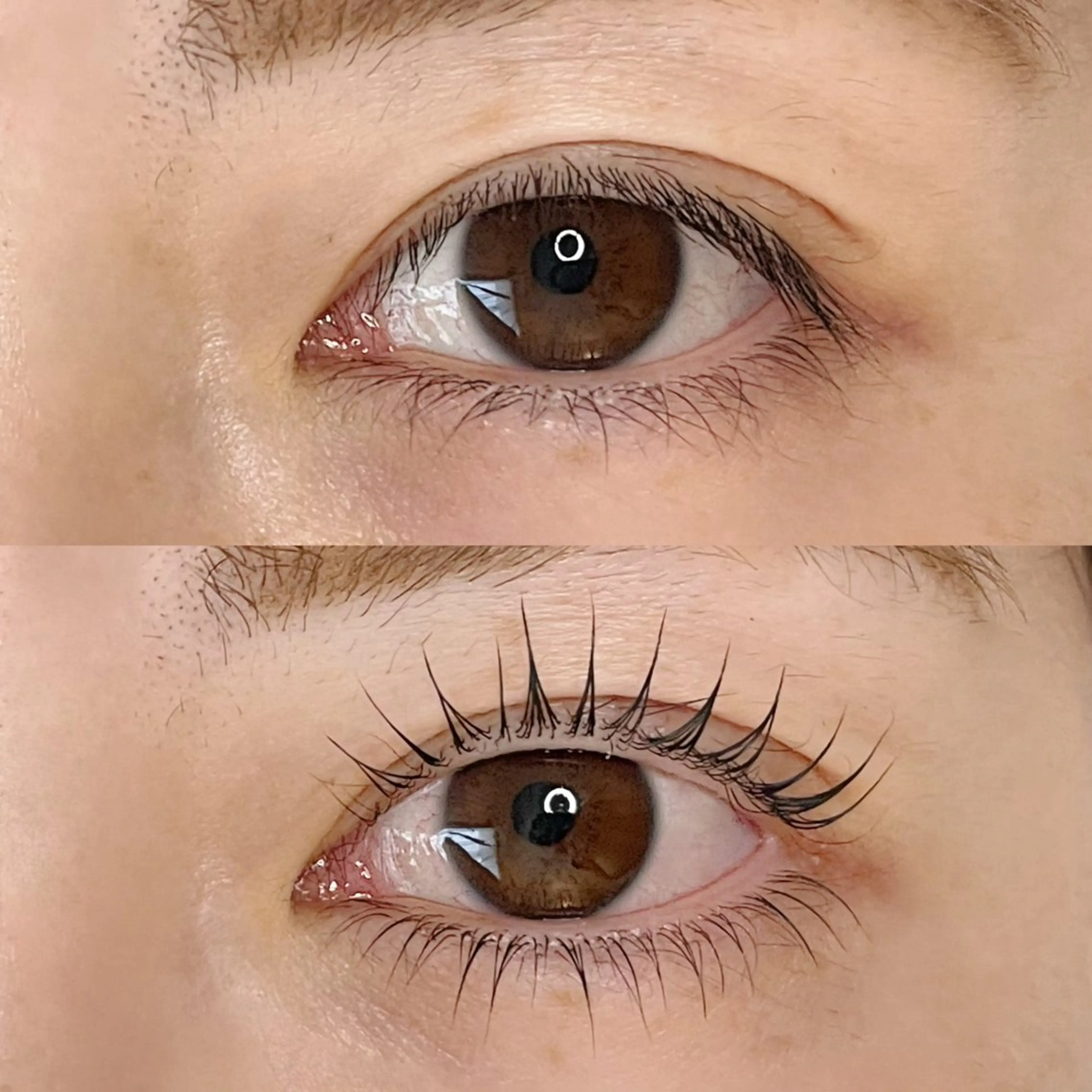 【上下】ラッシュリフトの写真