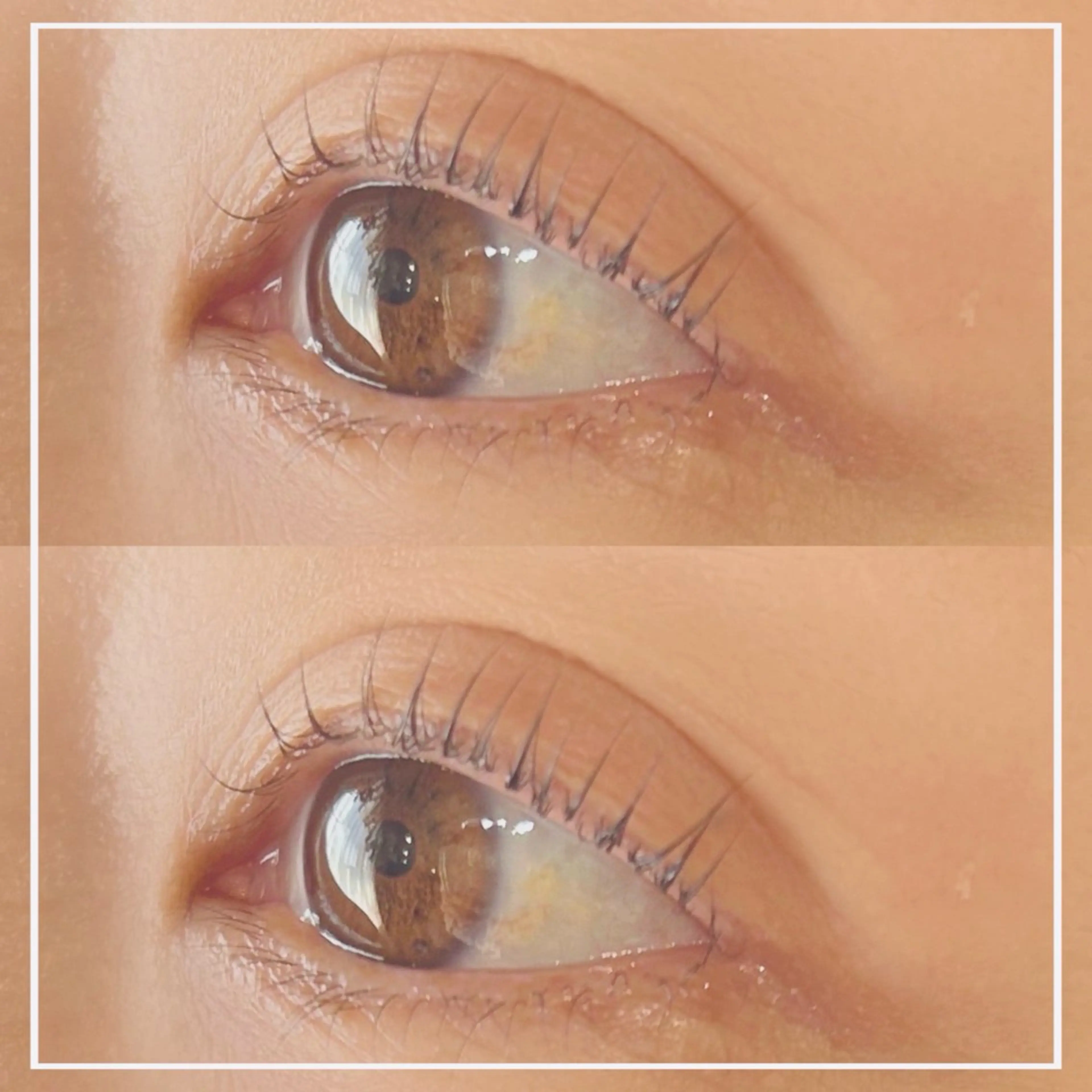 マツエク・マツパ ojigi hair所属・ojigi hair 【ayumi】のマツエク・マツパデザイン