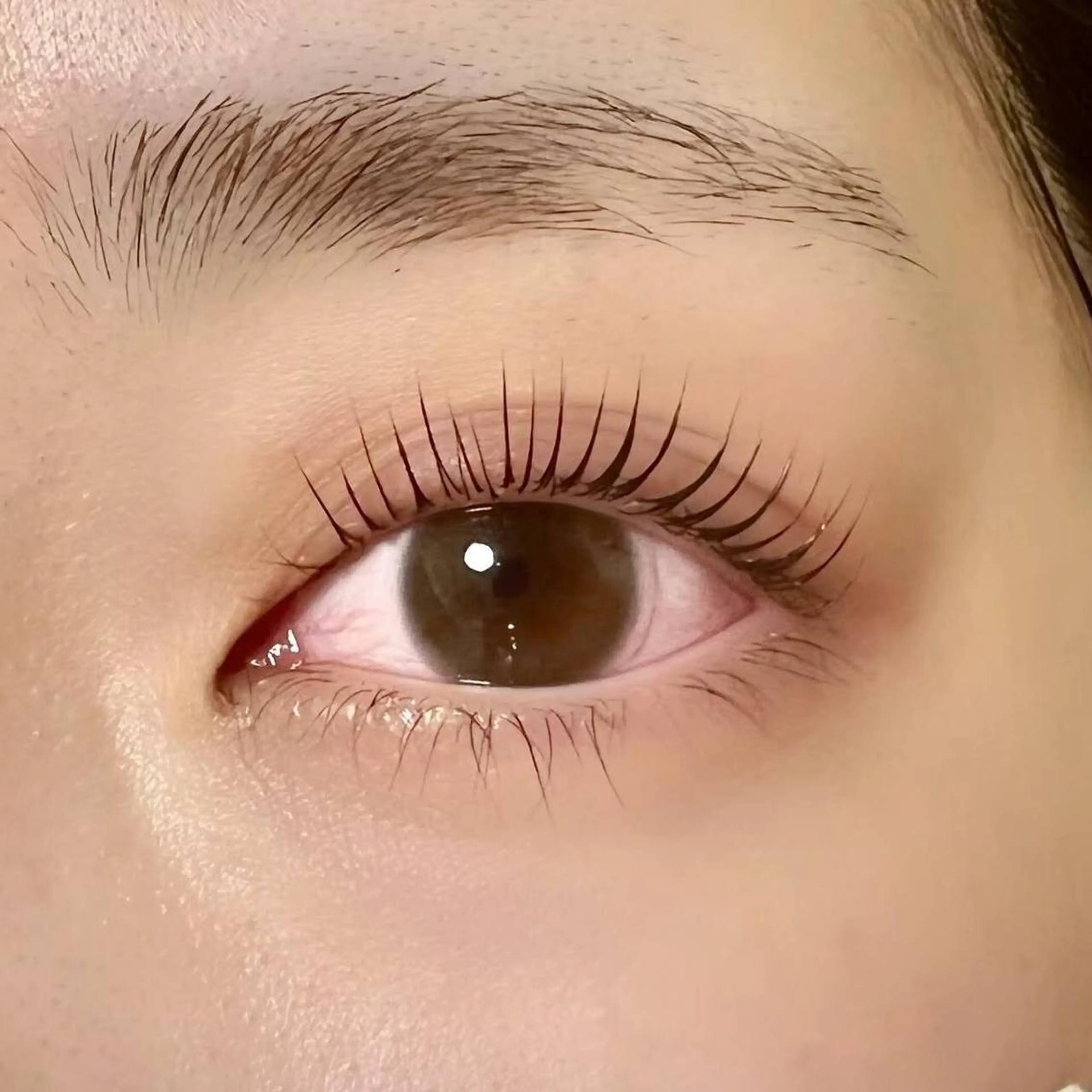 マツエク・マツパ サルサグレイス木更津 クボタのその他イメージ