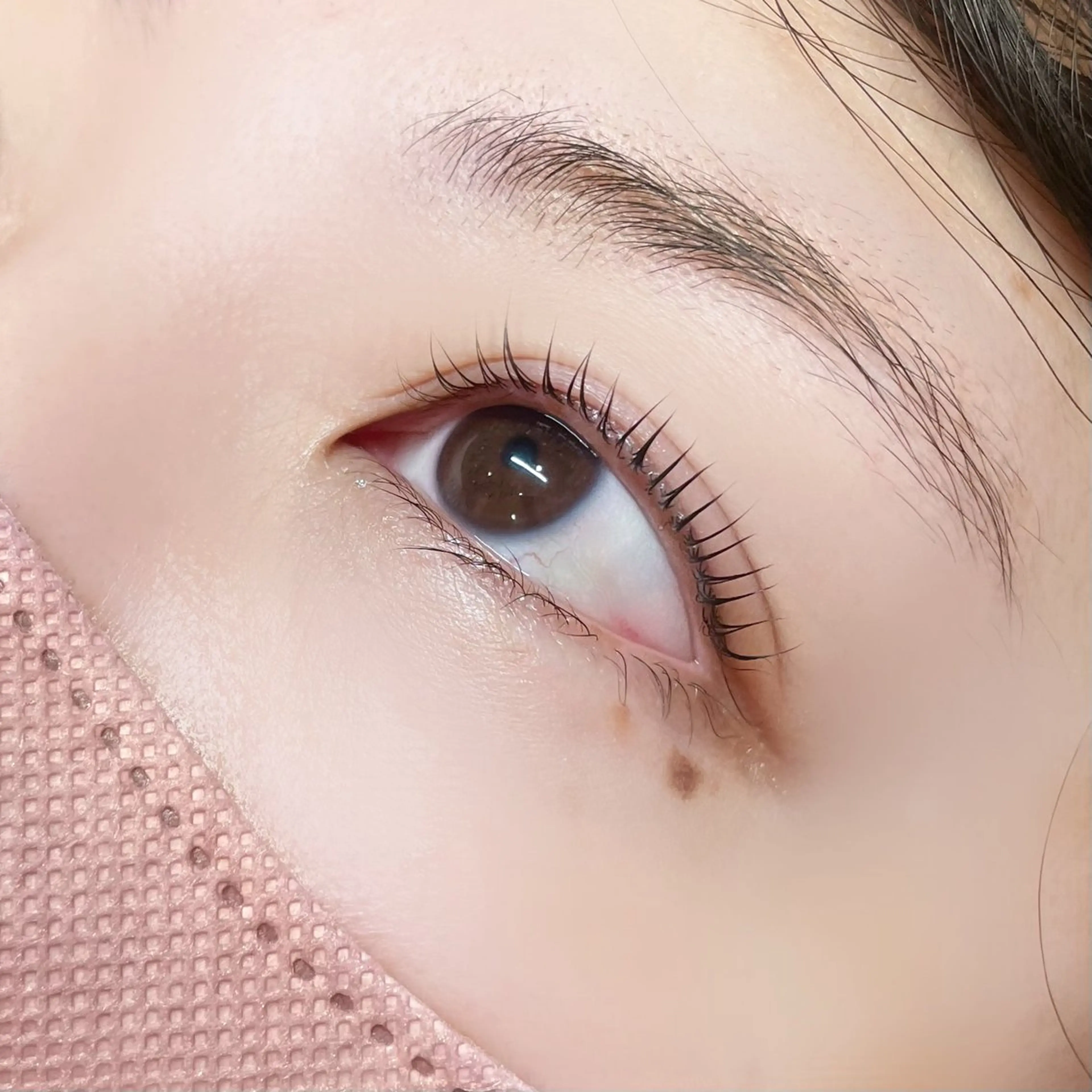 【学割】まつ毛パーマの写真