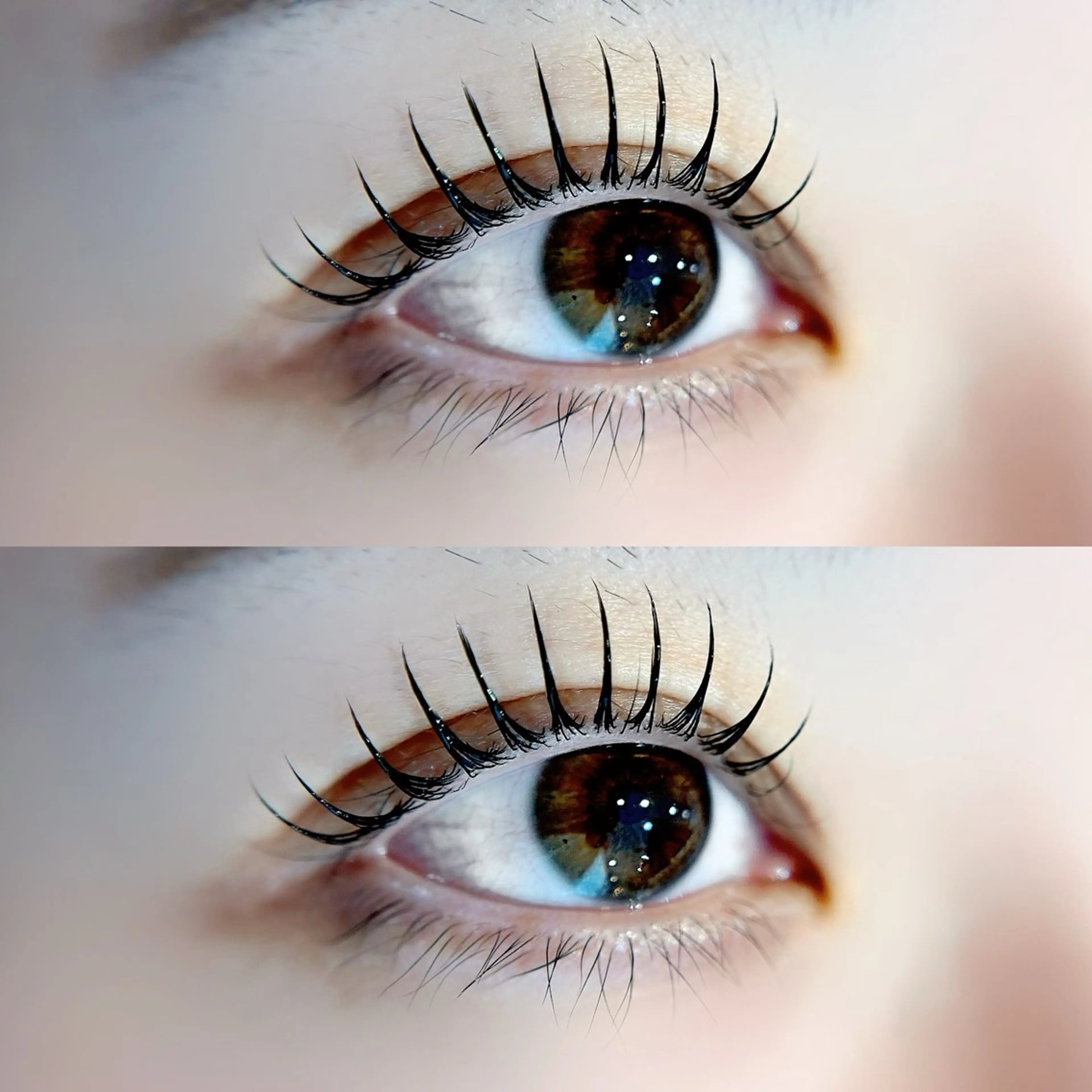 【平日限定・商品付】まつげパーマ(上)+美容液コーティング🤍の写真