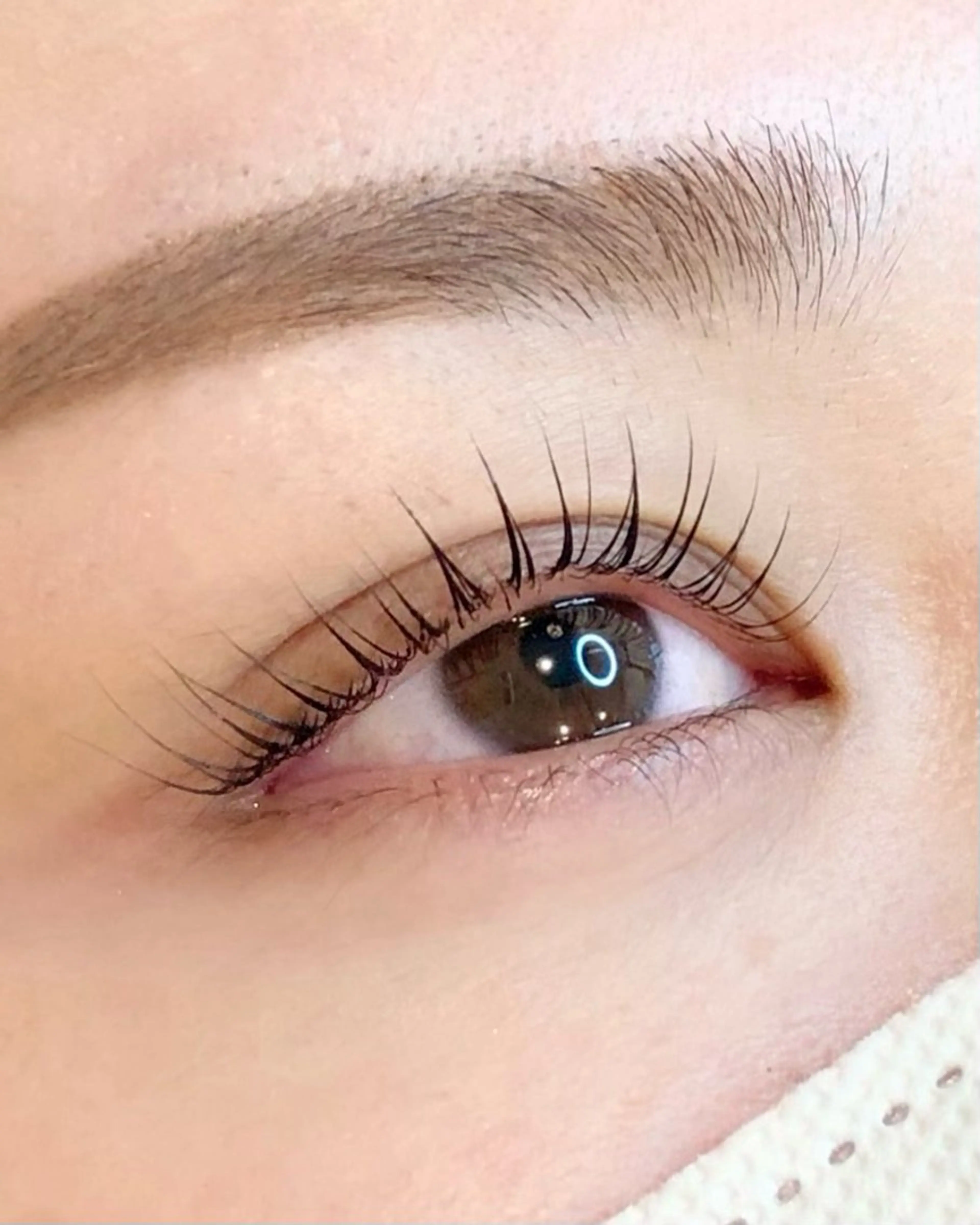 ラッシュリフト(まつ毛シャンプー&スペシャルケア付き)の写真