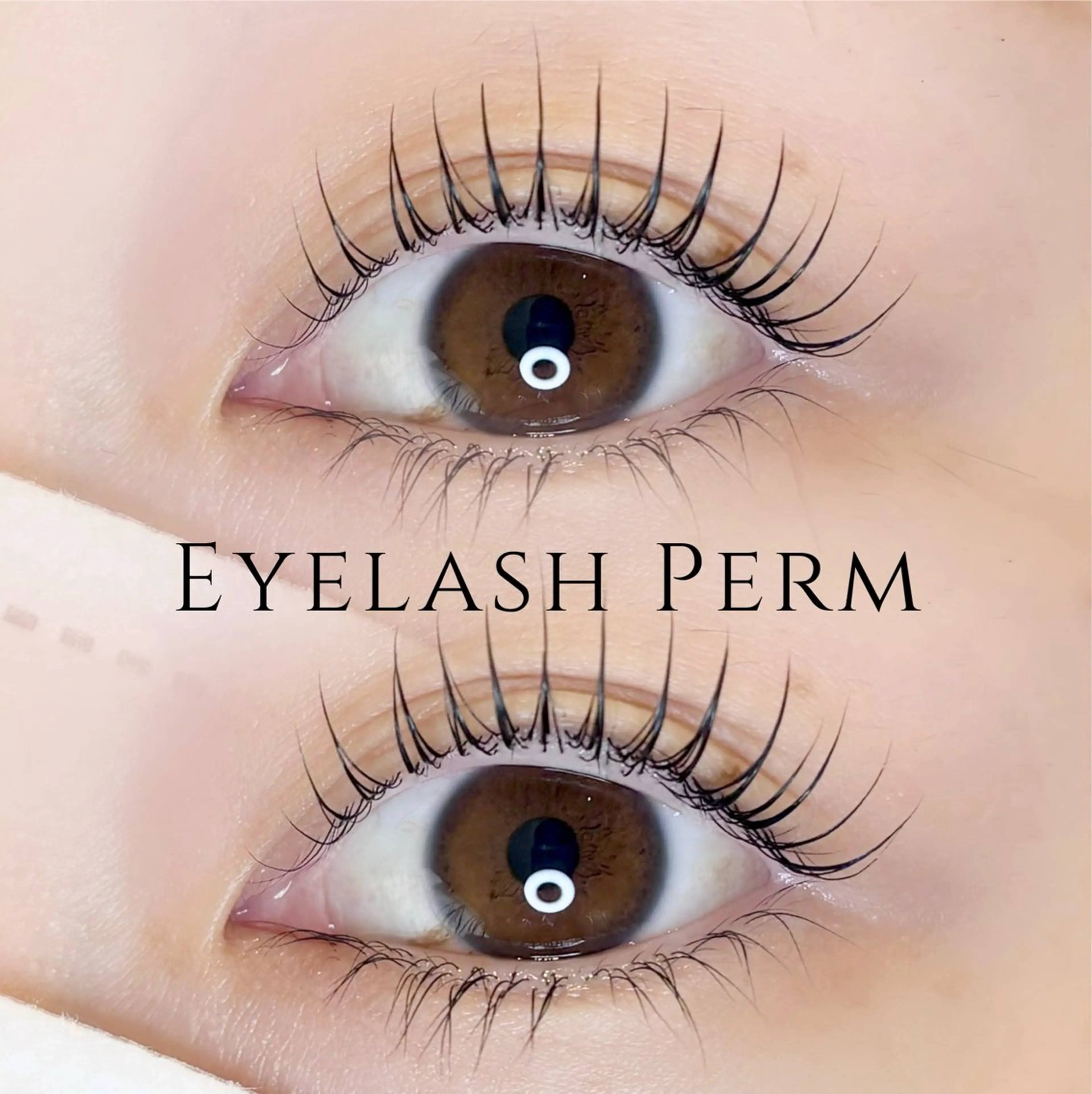 【minimo限定価格】パリジェンヌラッシュリフトorまつげパーマの写真