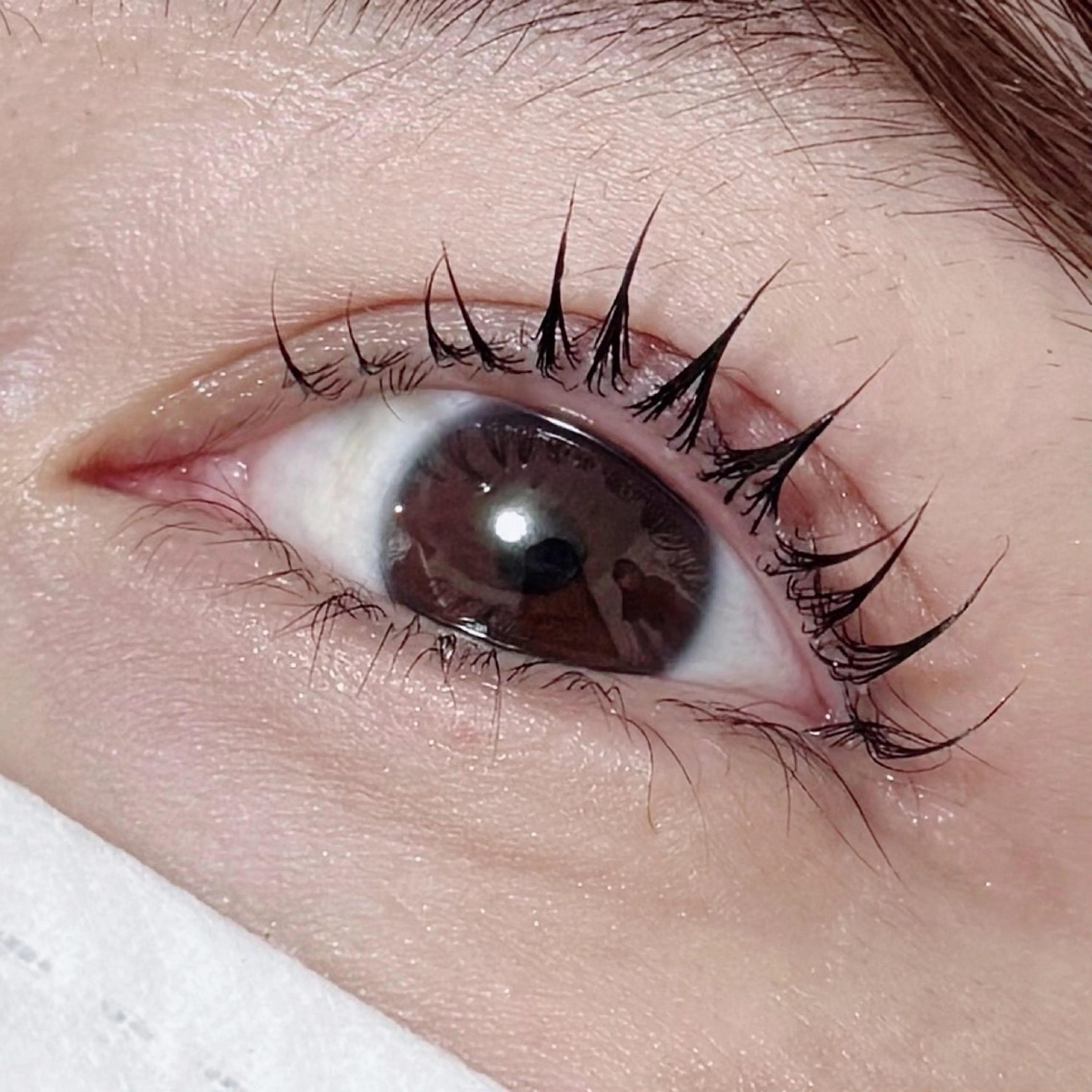 🎀カール重視のまつ毛パーマ🎀＋美容コーティング￥4500の写真