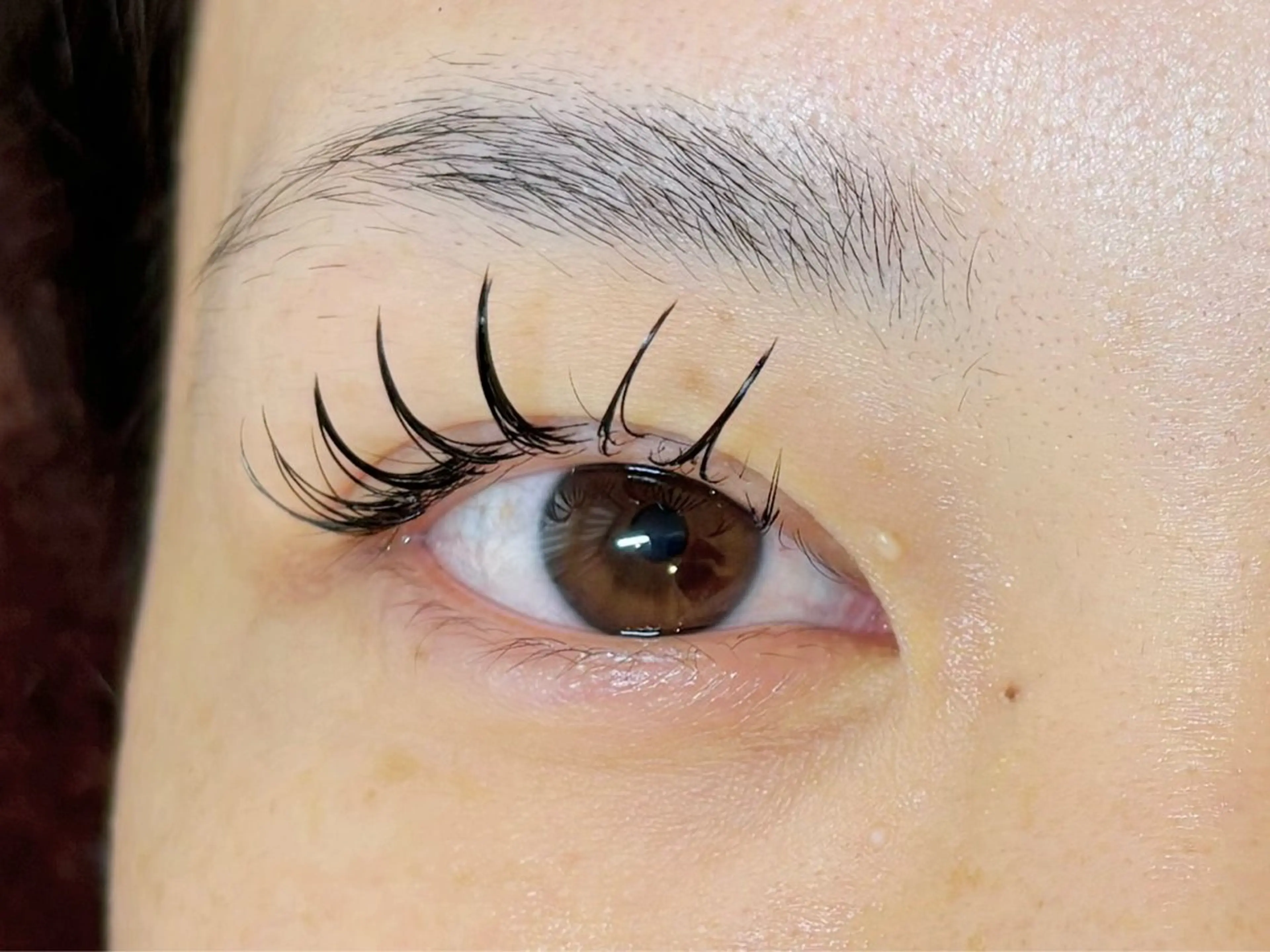 マツエク・マツパ フラットラッシュ セーブル マツエク 🤍Riina /国分寺🤍のマツエク・マツパデザイン